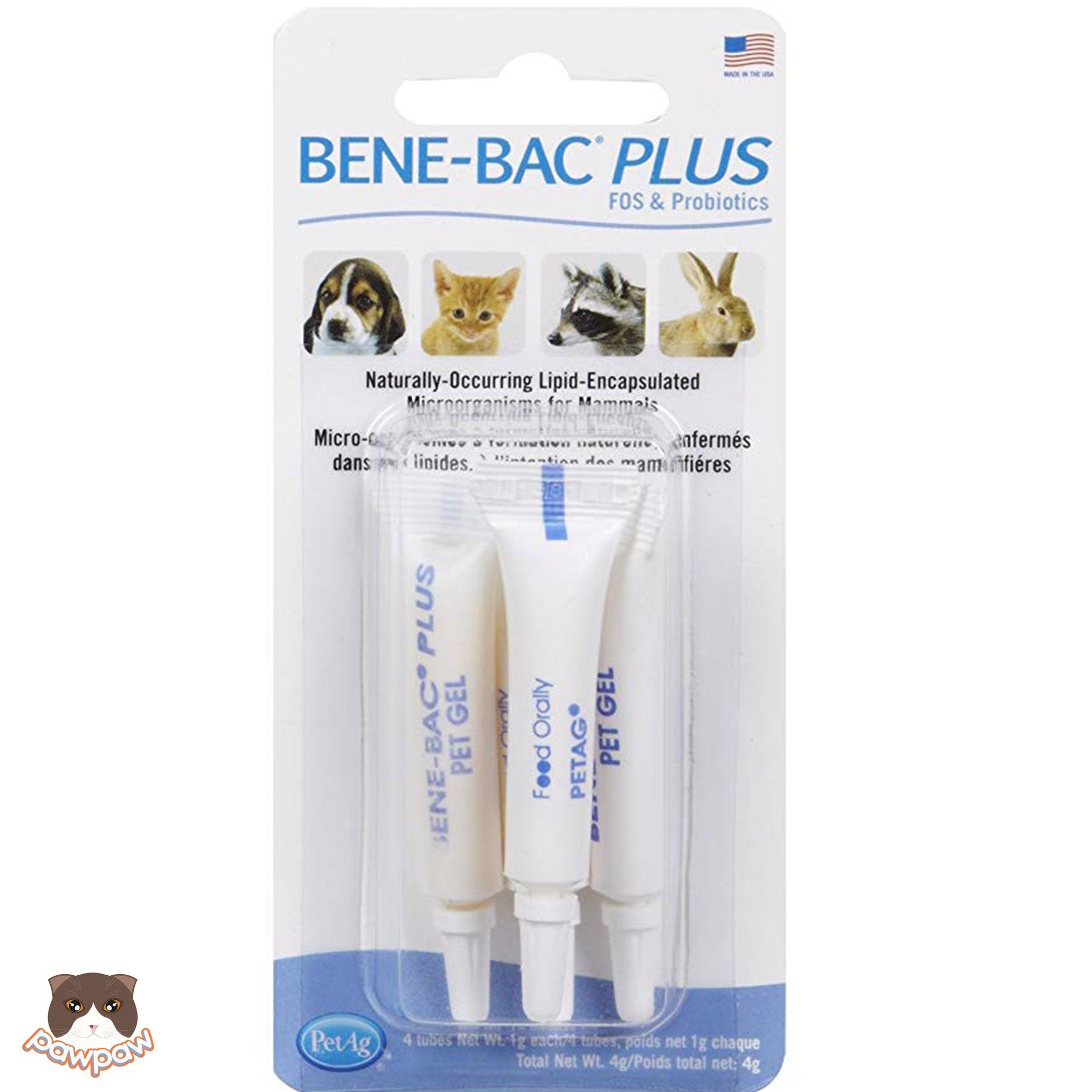 Gel men đường ruột Bene Bac đặc hiệu vỉ 4 ống