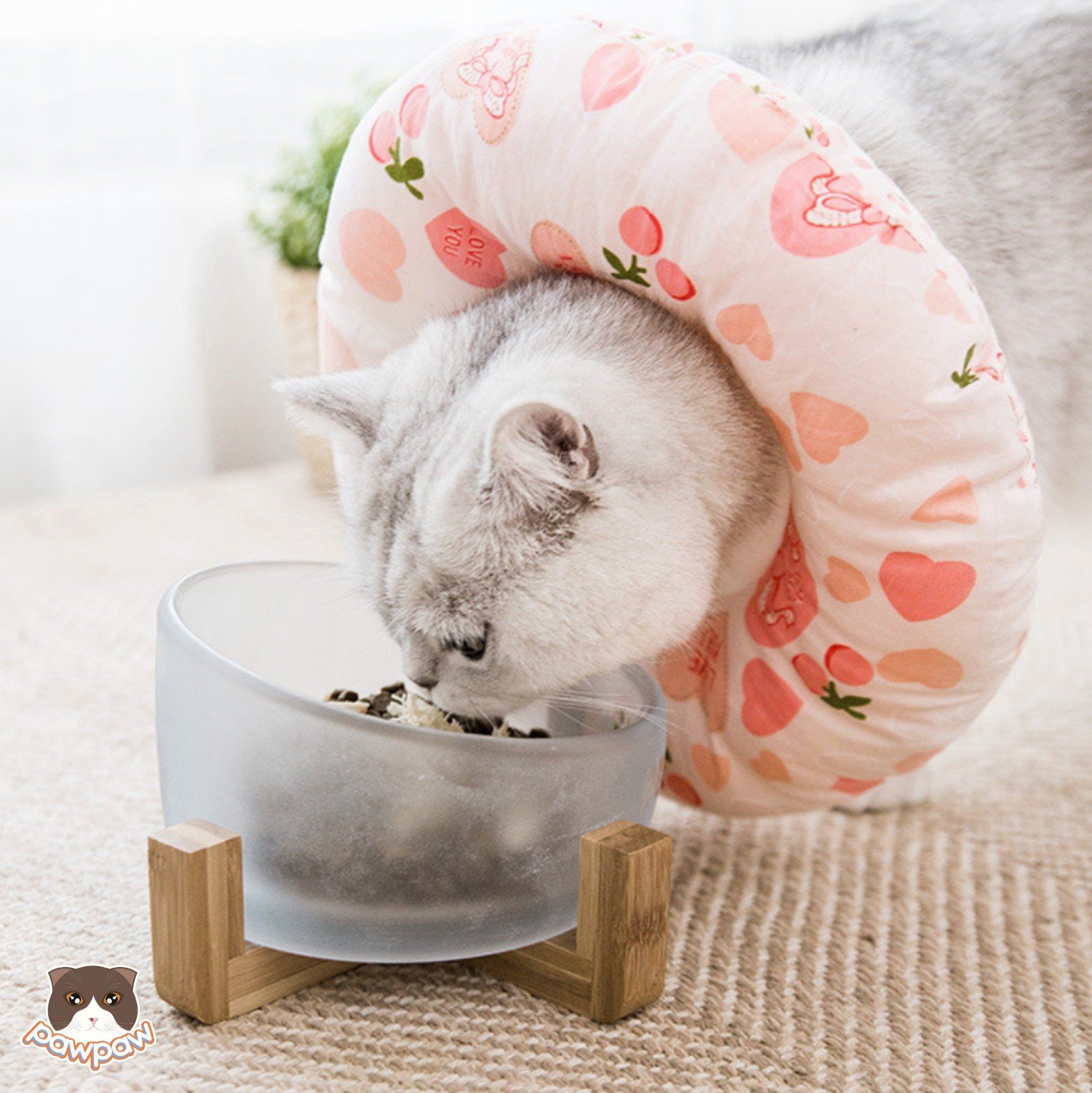 Vòng gối chống liếm cho chó mèo