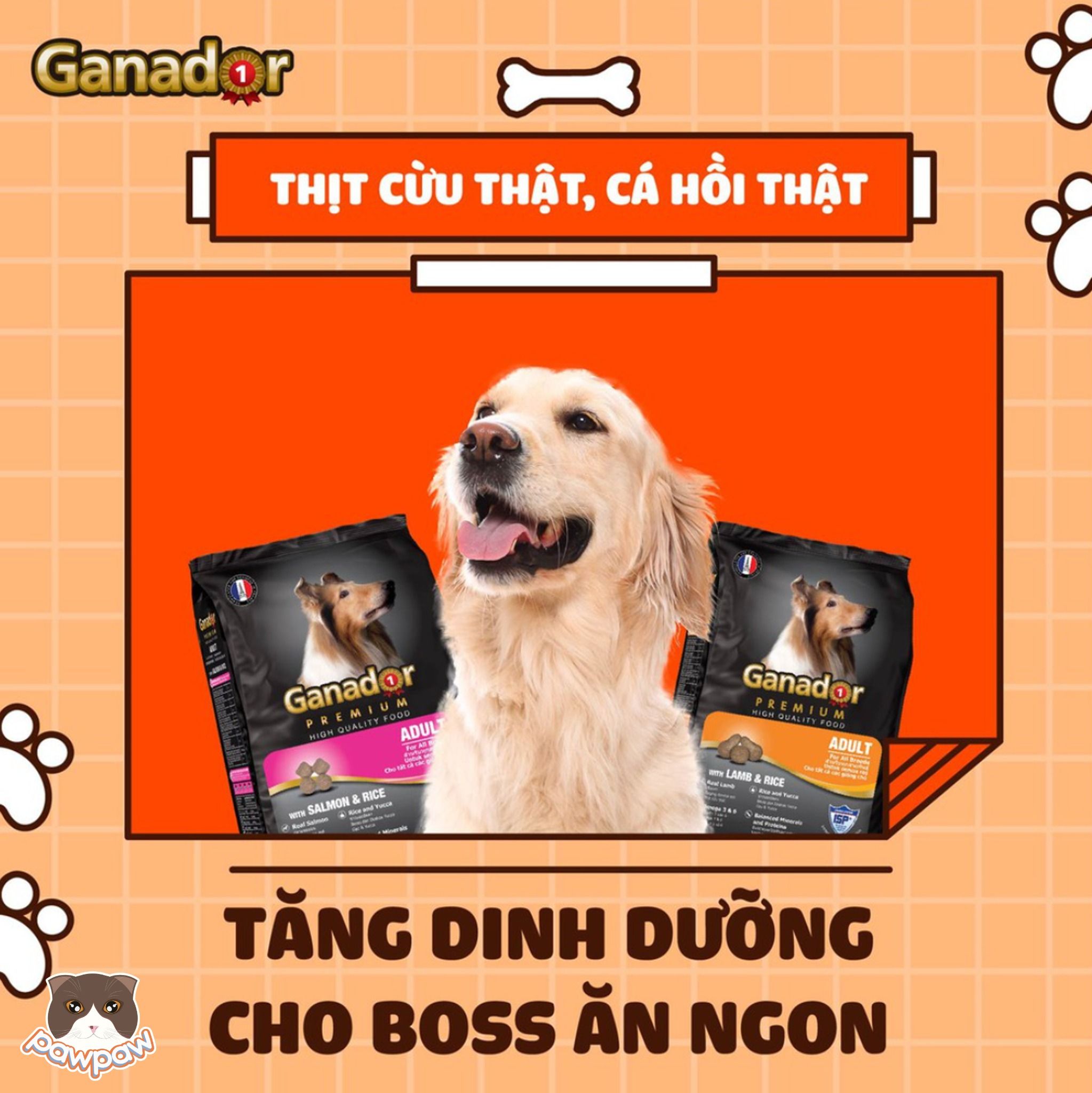 Hạt Ganador Adult cho chó trưởng thành