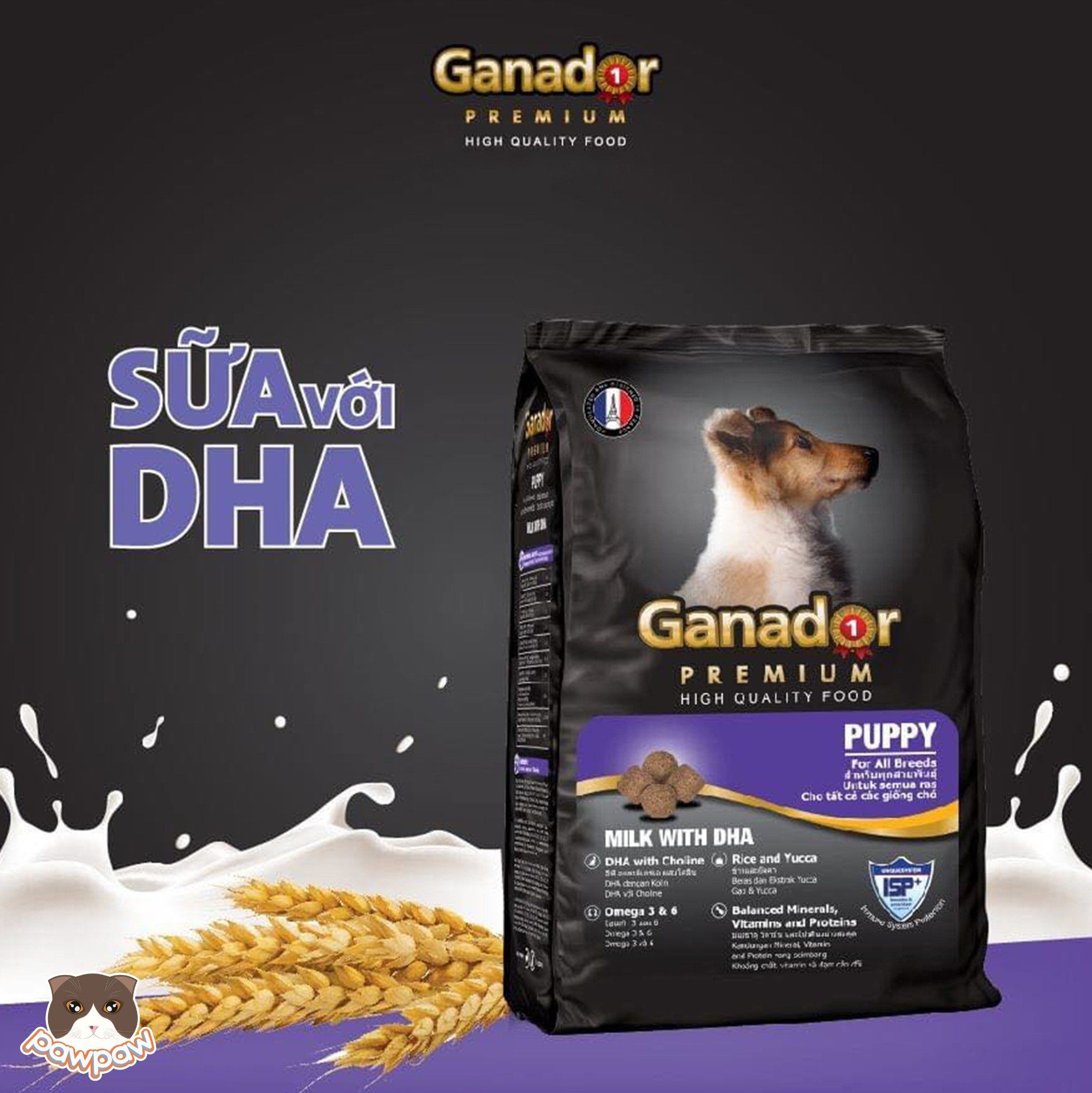 Hạt Ganador Puppy cho chó con