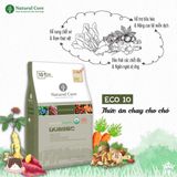  Hạt Natural Core Vegeterian thuần chay 1kg cho chó mọi độ tuổi 