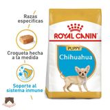  Hạt Royal Canin Chihuahua Puppy 500g cho chó con 