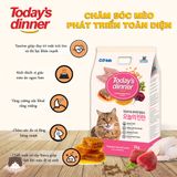  Hạt Today's Dinner 1kg cho mèo mọi độ tuổi 