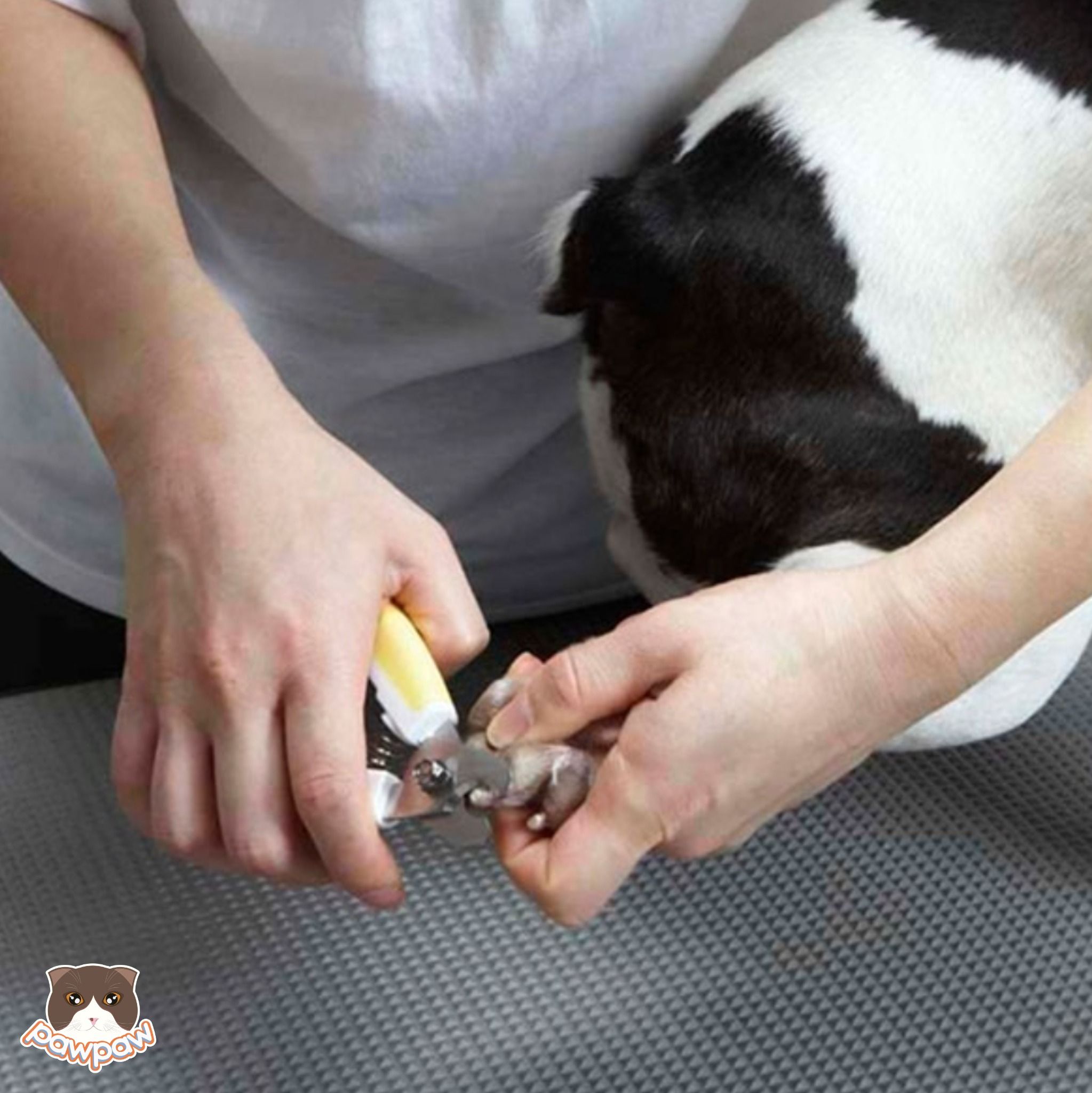 Kềm cắt móng Honey Smille Doggyman cho chó mèo