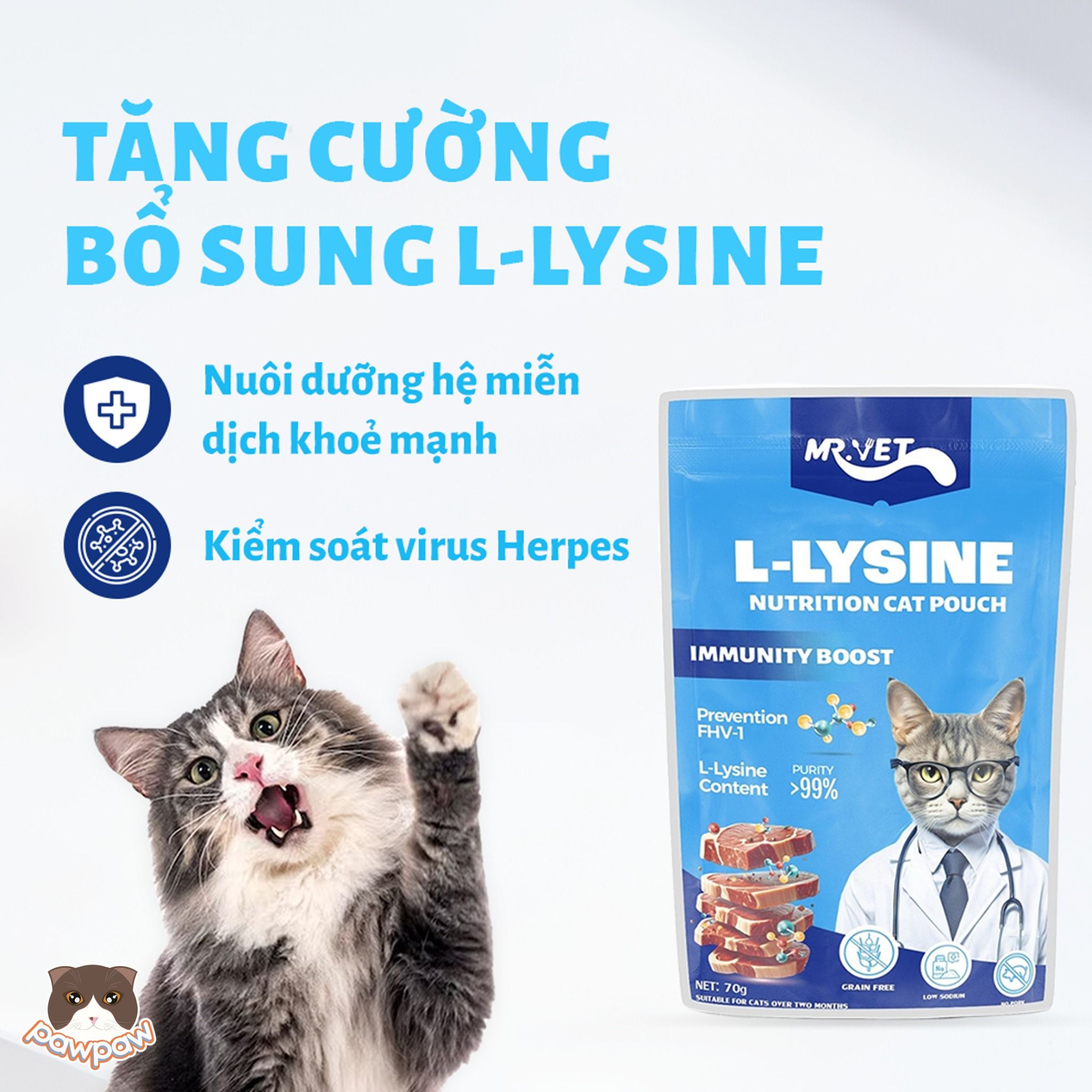 Pate Mr.Vet 70g cho mèo