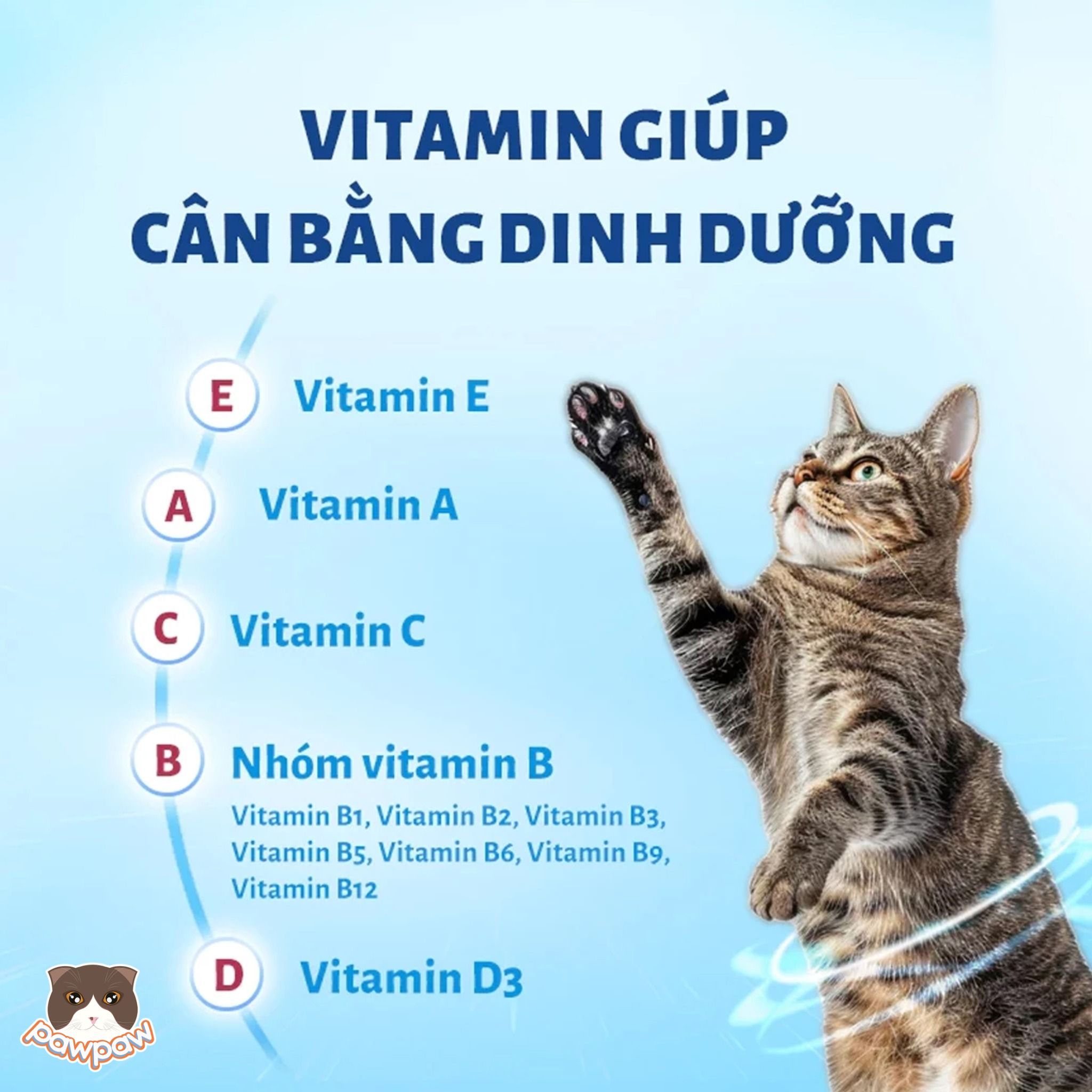 Hạt mix thịt sấy Mr.Vet T4 Indoor cho mèo mọi độ tuổi