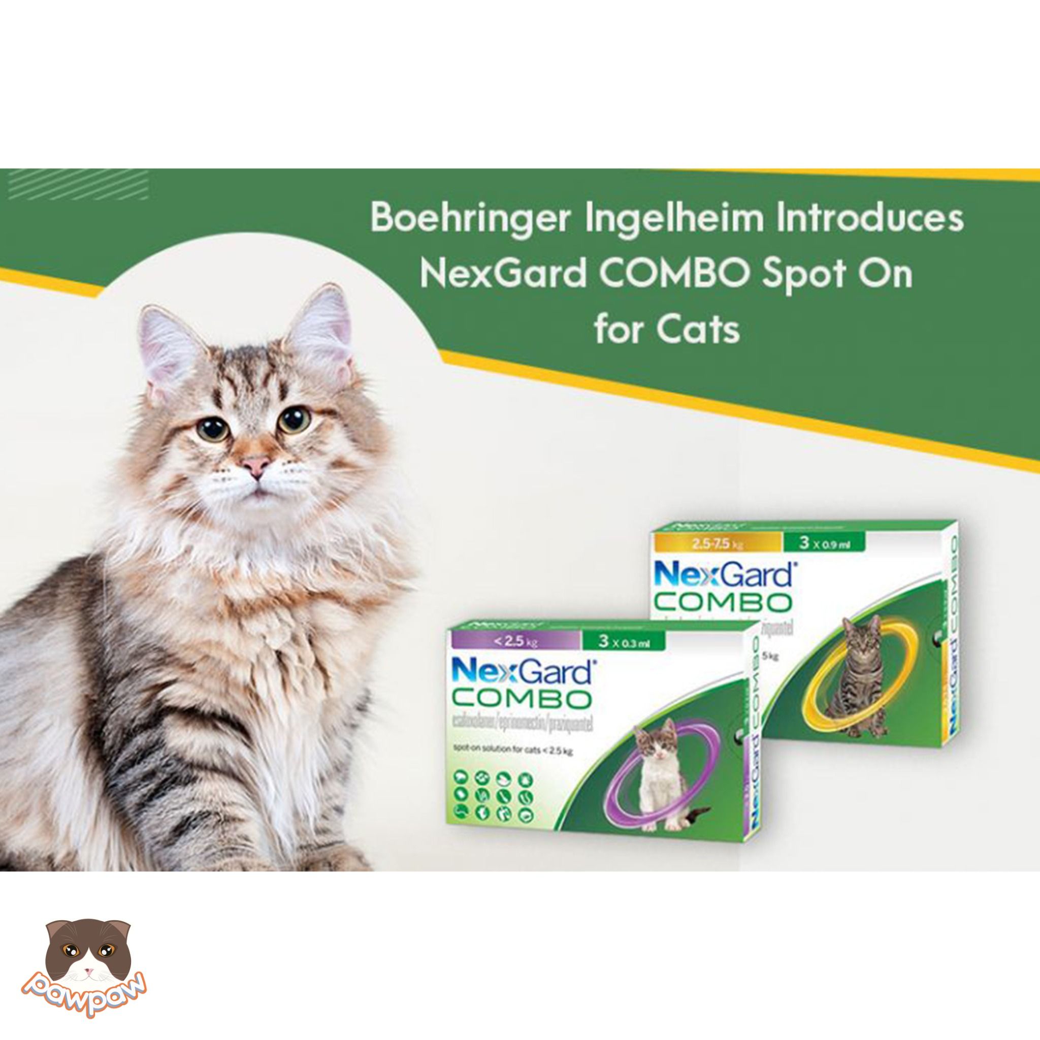 Nhỏ gáy Nexgard Combo trị nội ngoại ký sinh cho mèo