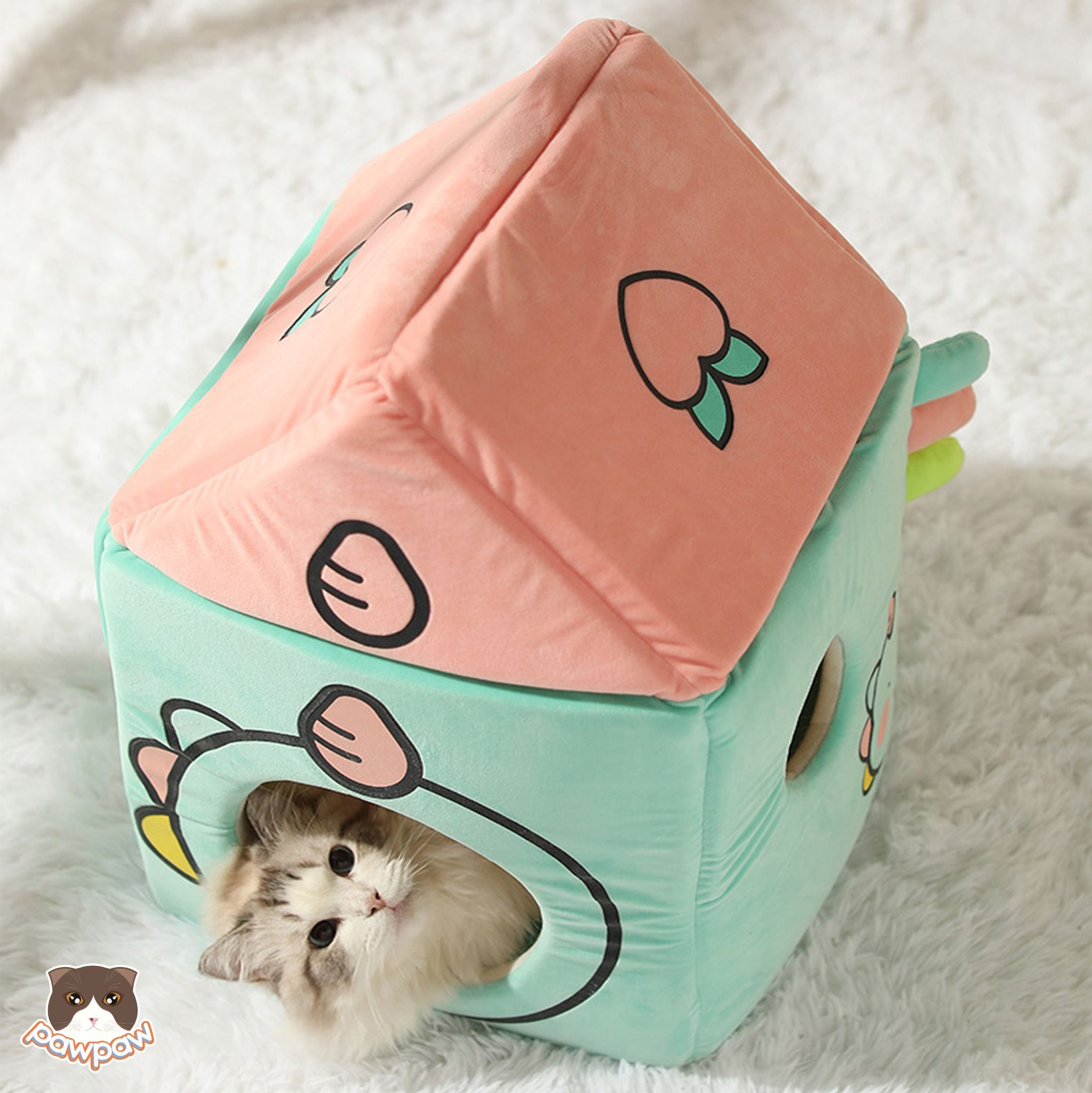 Nhà đệm sắc màu cho chó mèo