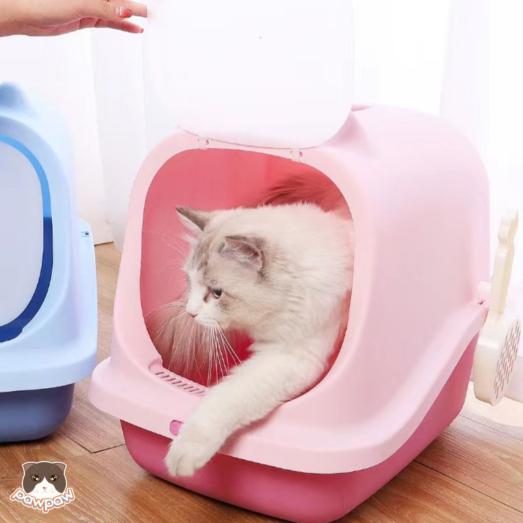 Nhà vệ sinh tai mèo cho mèo