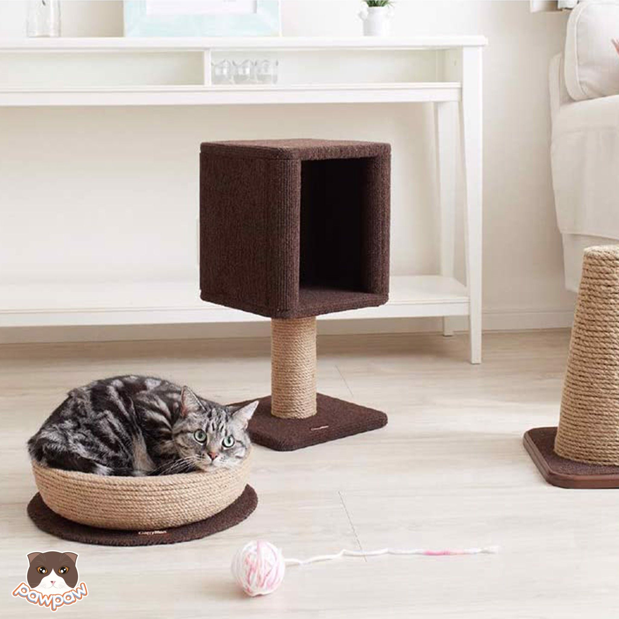 Ổ dây thừng cào móng CattyMan cho mèo