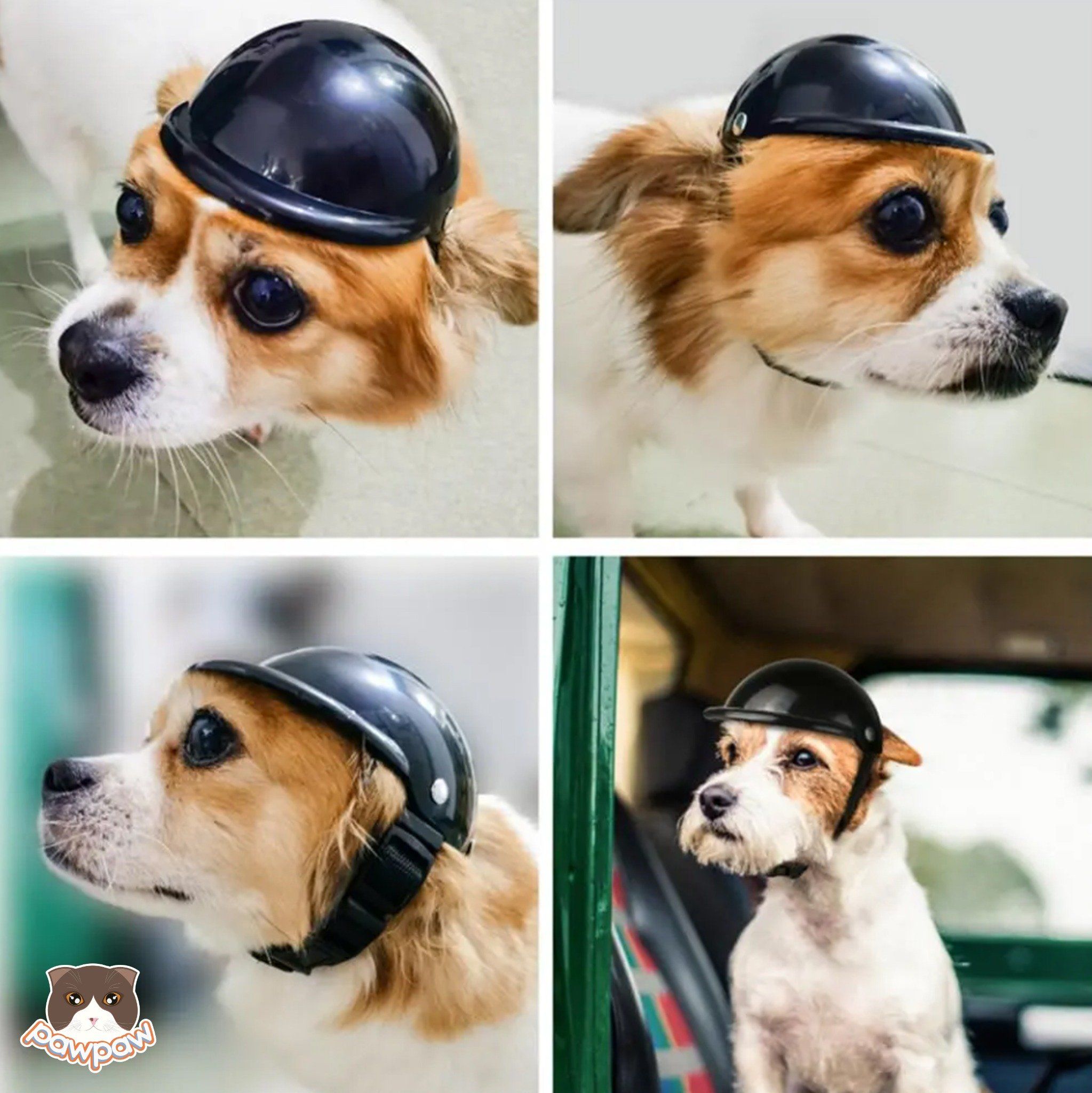 Nón bảo hiểm phượt thủ cho chó mèo