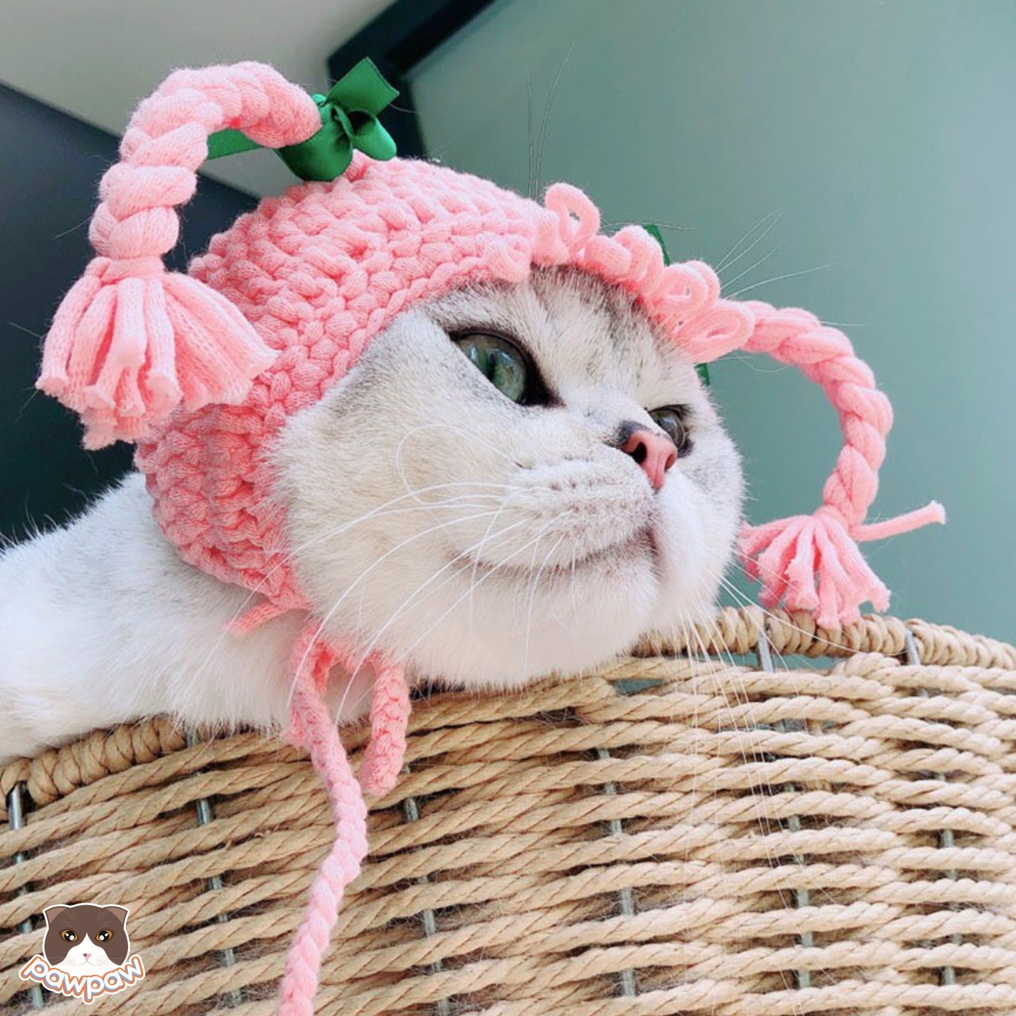 Nón len, vòng cổ len cho chó mèo