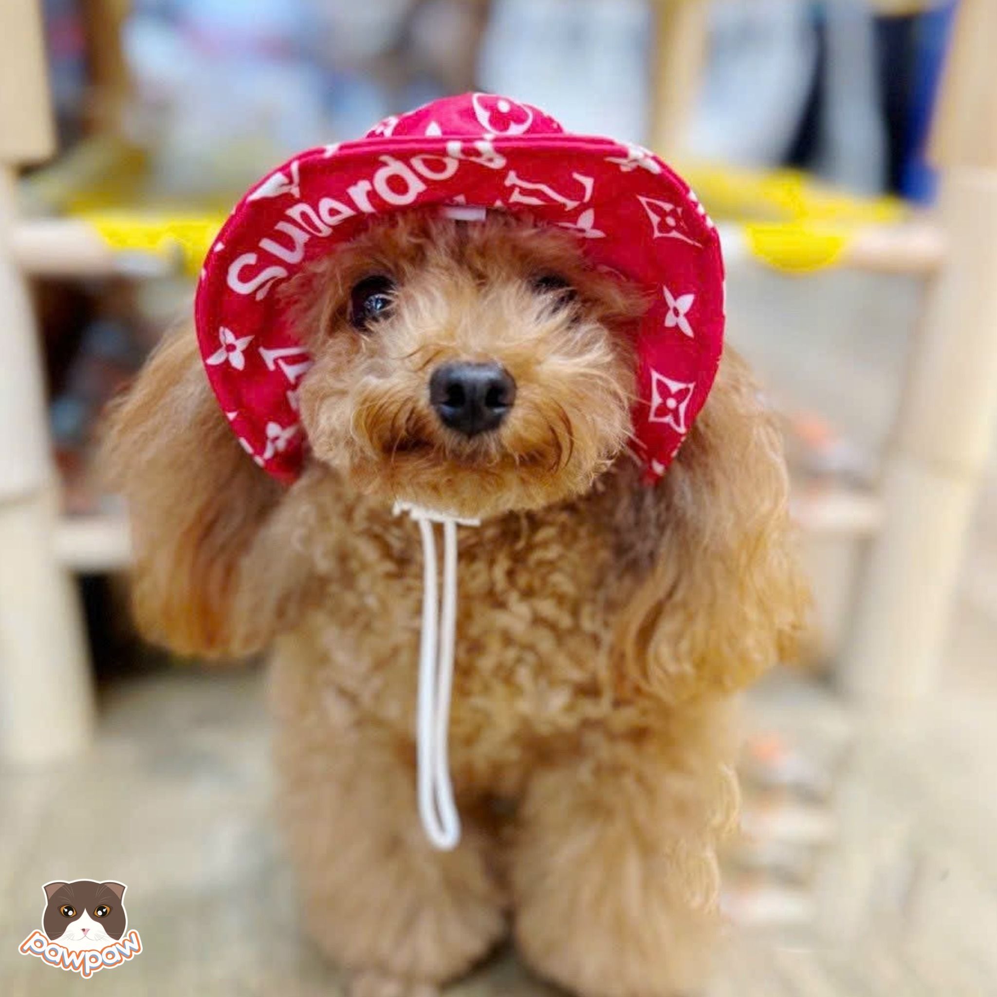 Nón tai bèo vải mỏng cho chó mèo