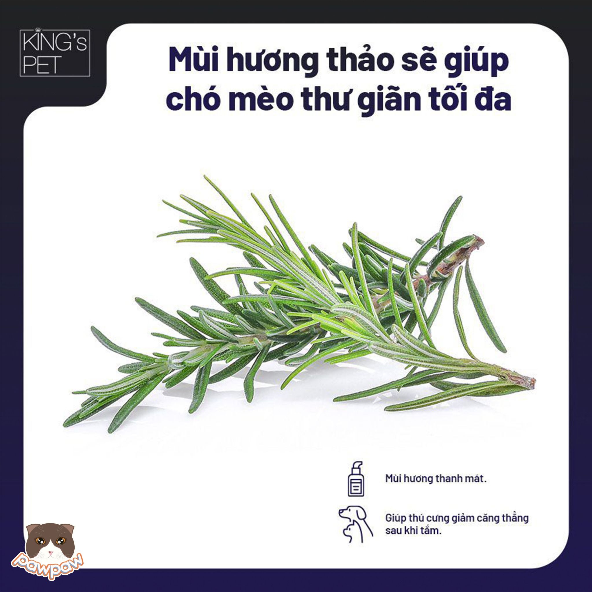 Nước hoa thư giãn kháng khuẩn mùi hương thảo King's Pet 100ml cho chó mèo
