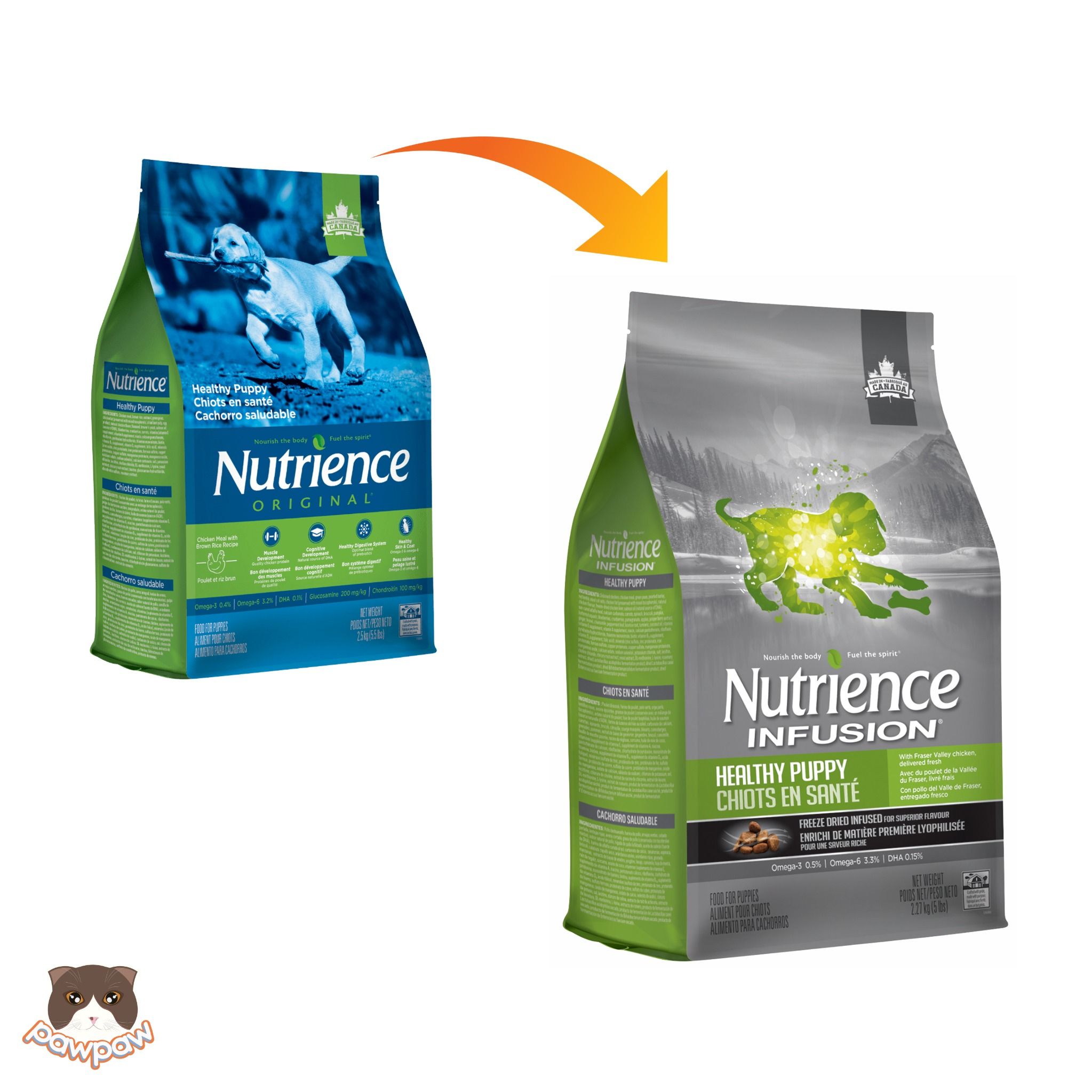  Hạt Nutrience Infusion Puppy cho chó con 