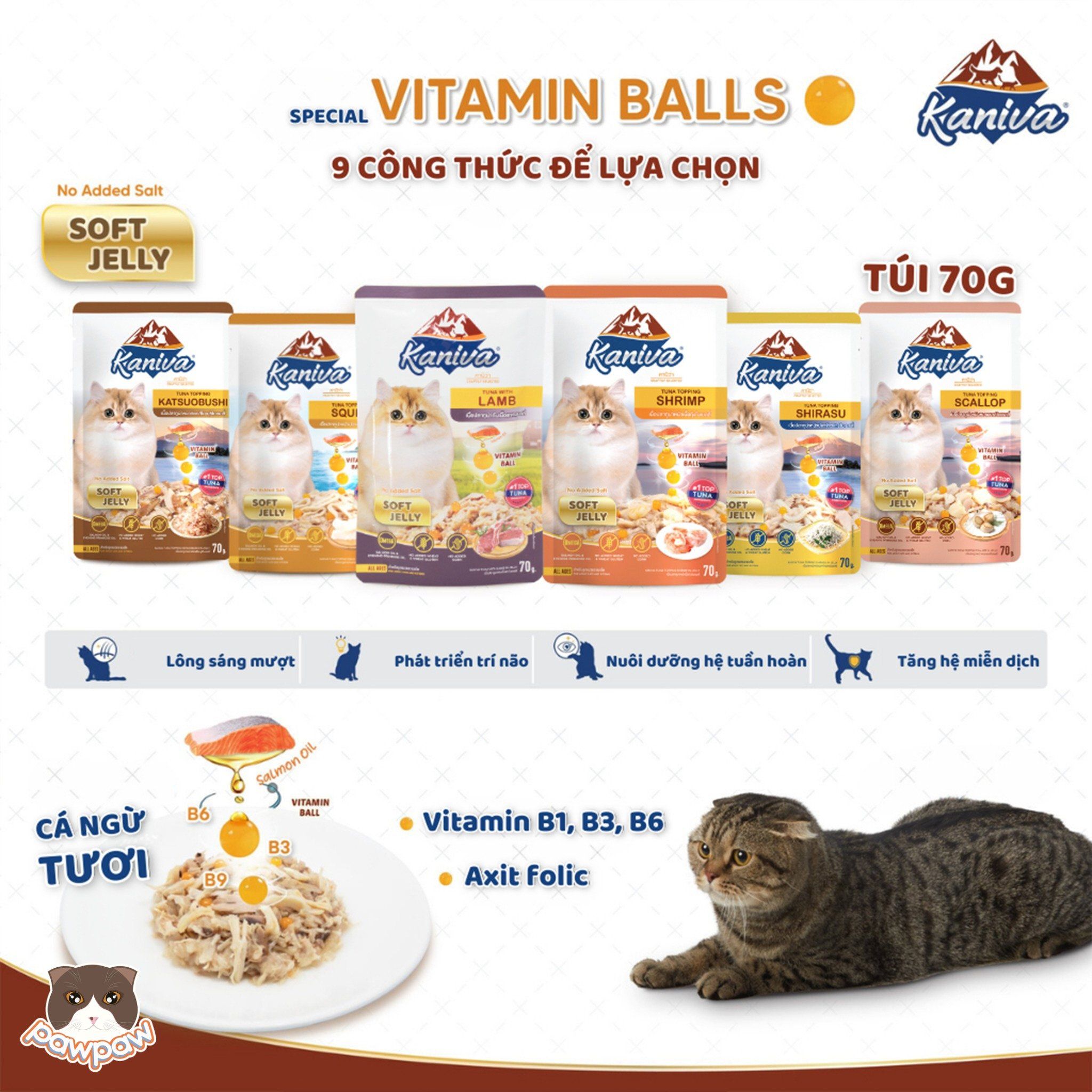 Pate Kaniva Vitamin Ball 70g cho mèo