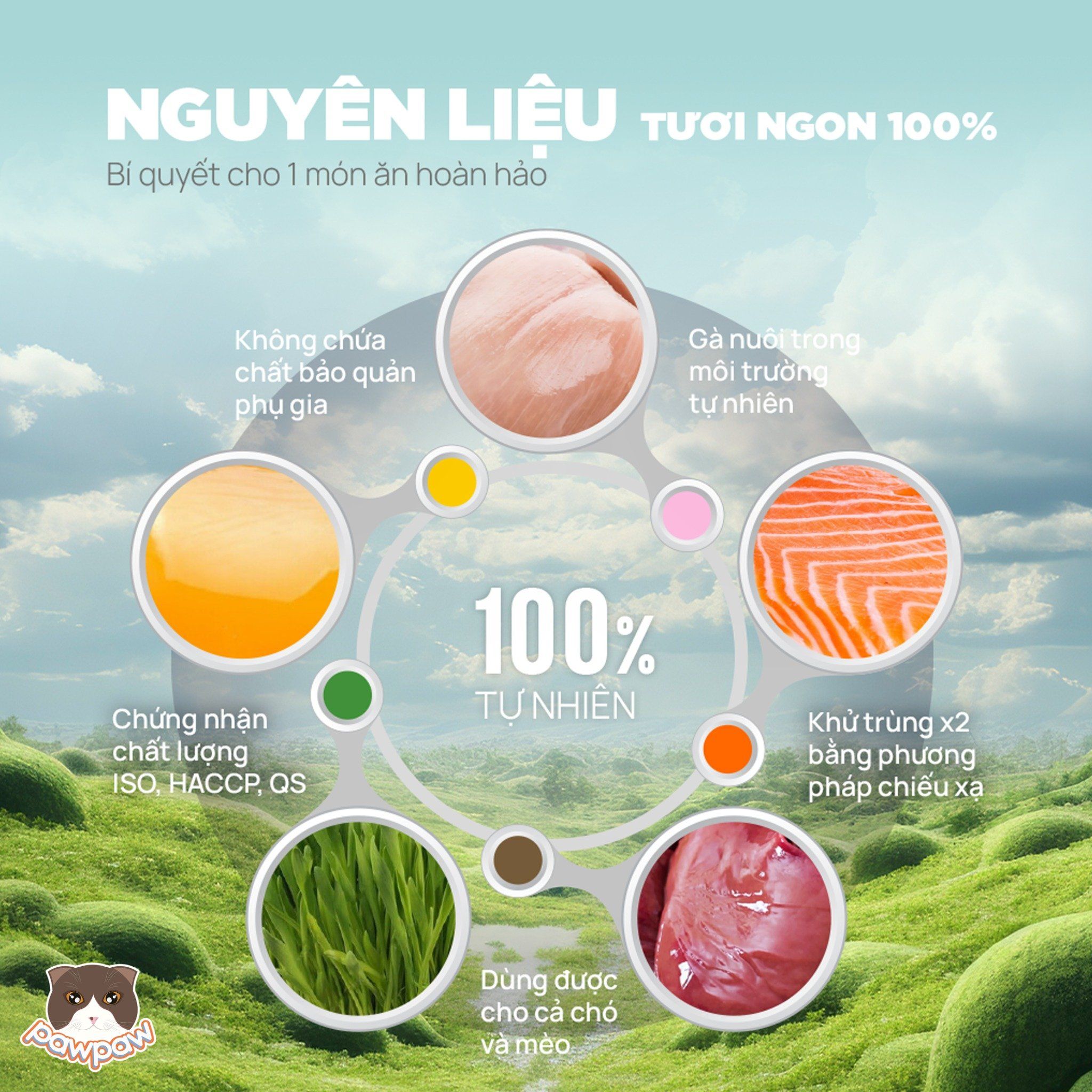 Thịt sấy đông khô PetQ cho mèo