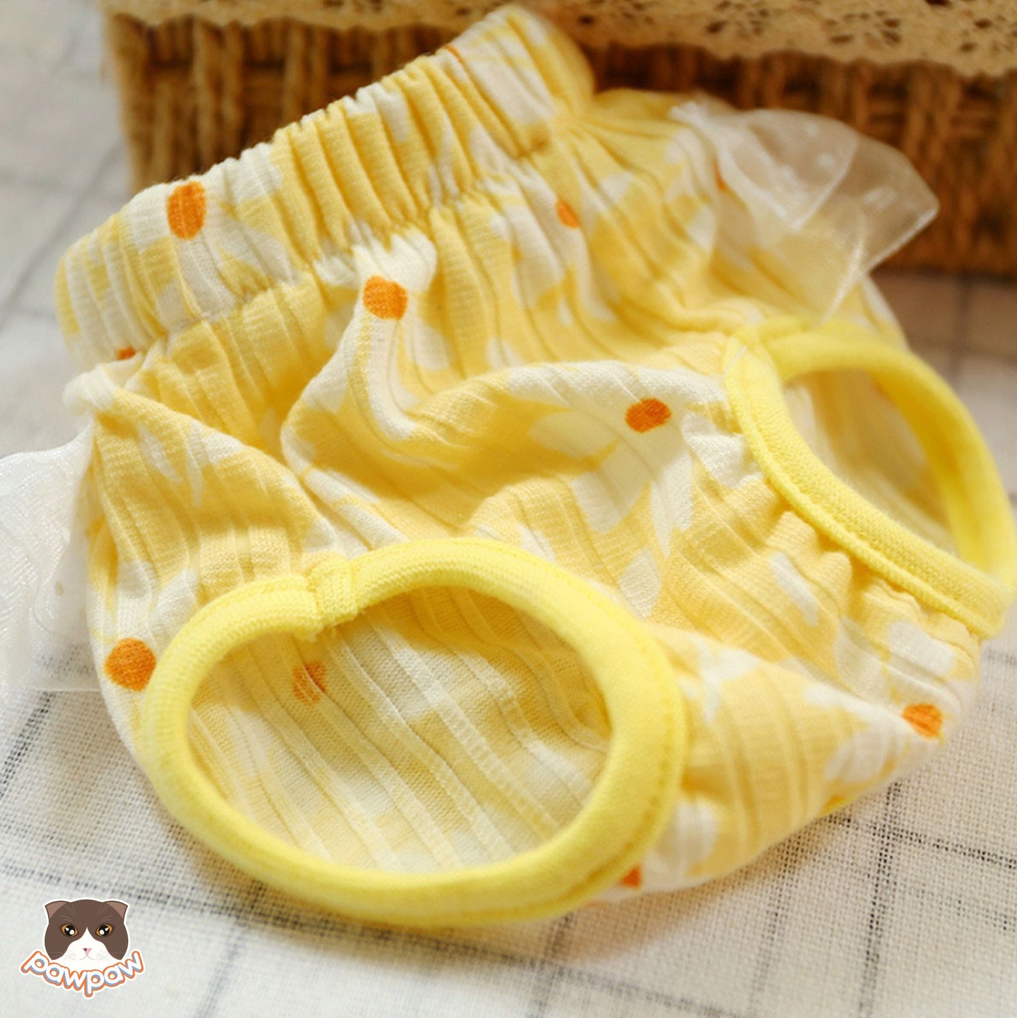 Quần chip ren cho chó cái