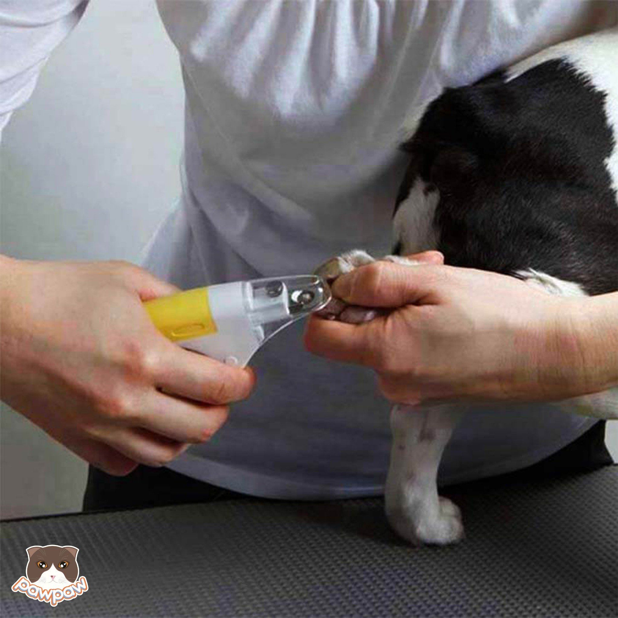 Kềm cắt móng chống văng kèm dũa HoneySmile cho chó mèo