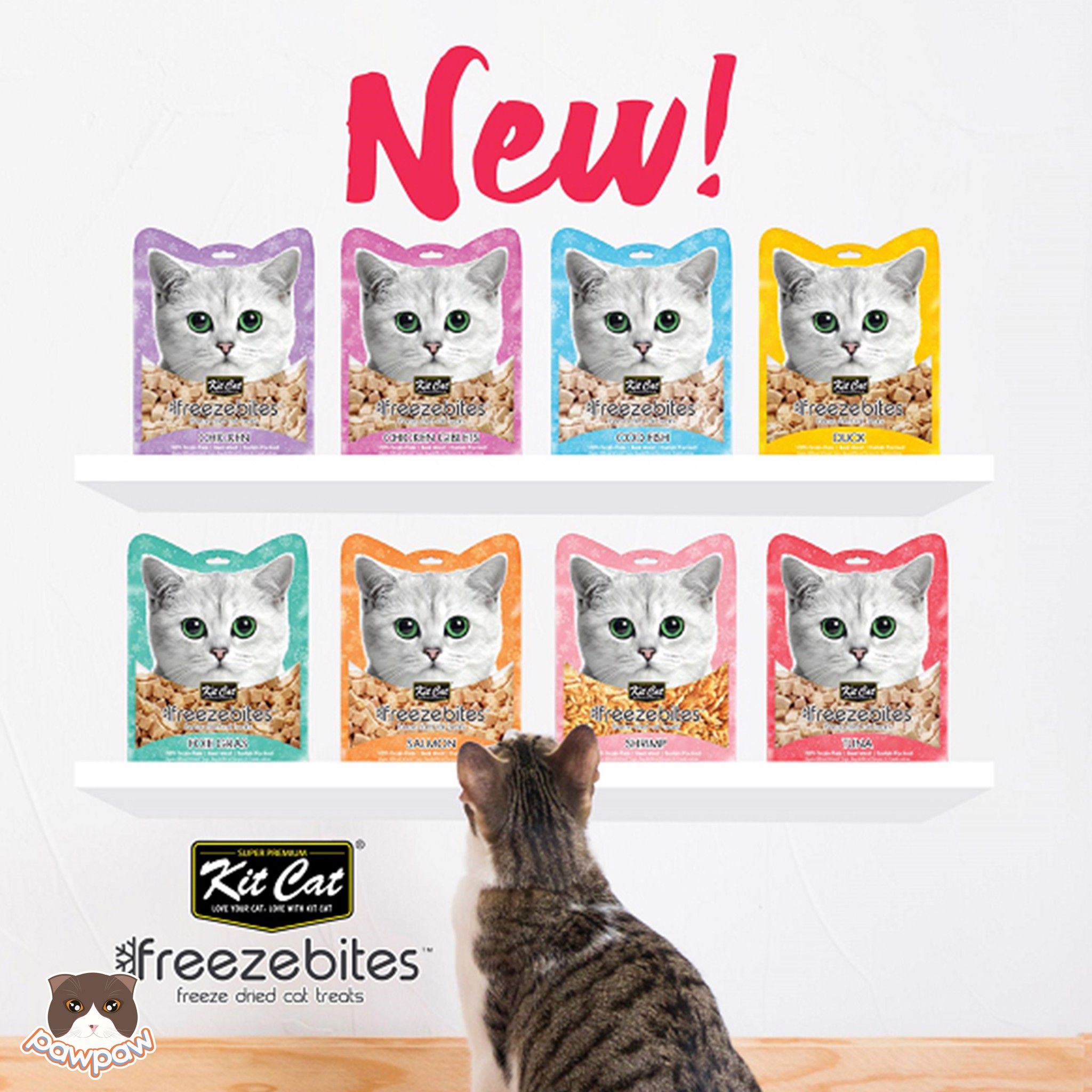 Snack sấy Kitcat Freezebites 15g nhiều vị cho mèo