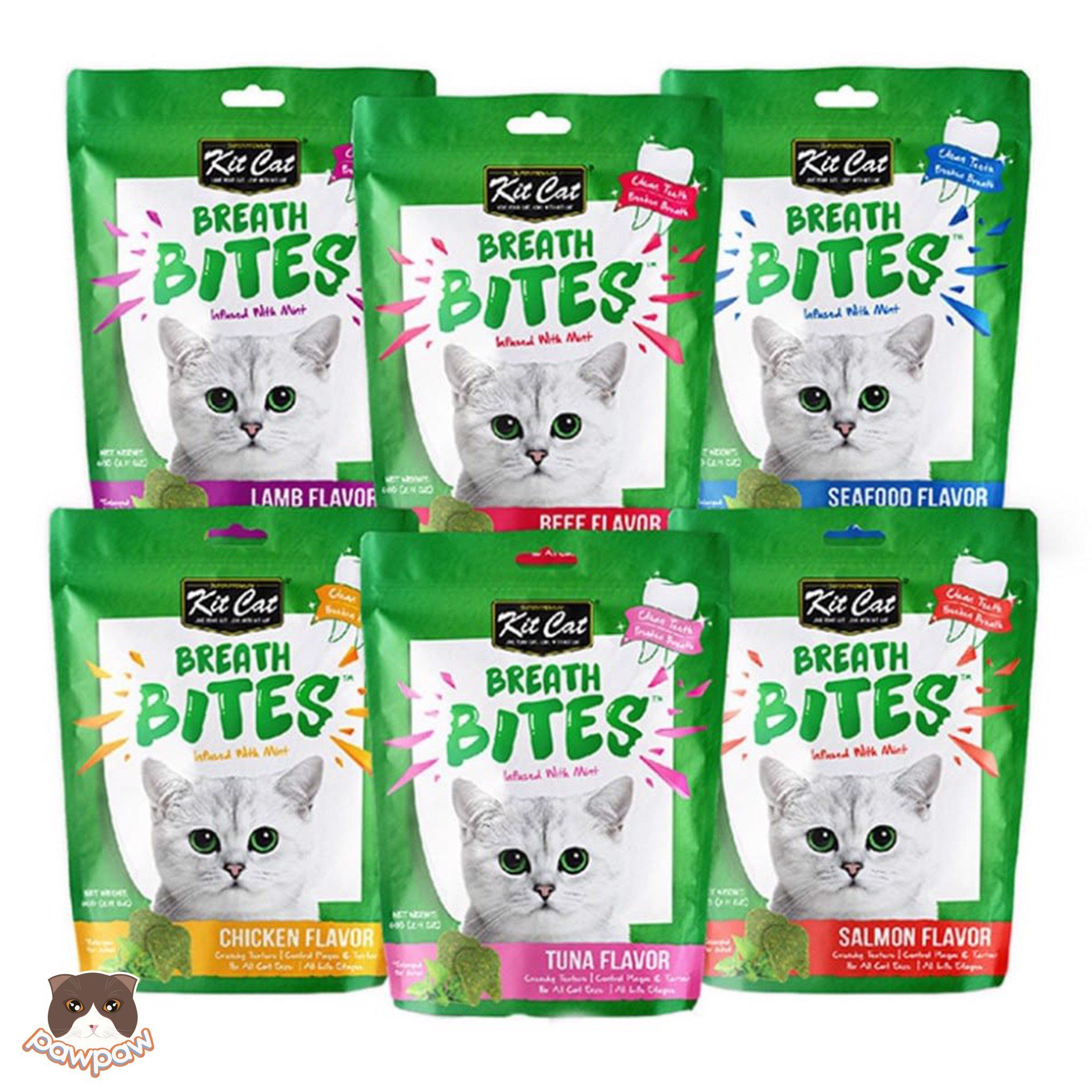  Snack nhai sạch răng Kitcat Breath Bites cho mèo 