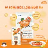  Hạt mềm Soft Balance cho chó mọi độ tuổi 