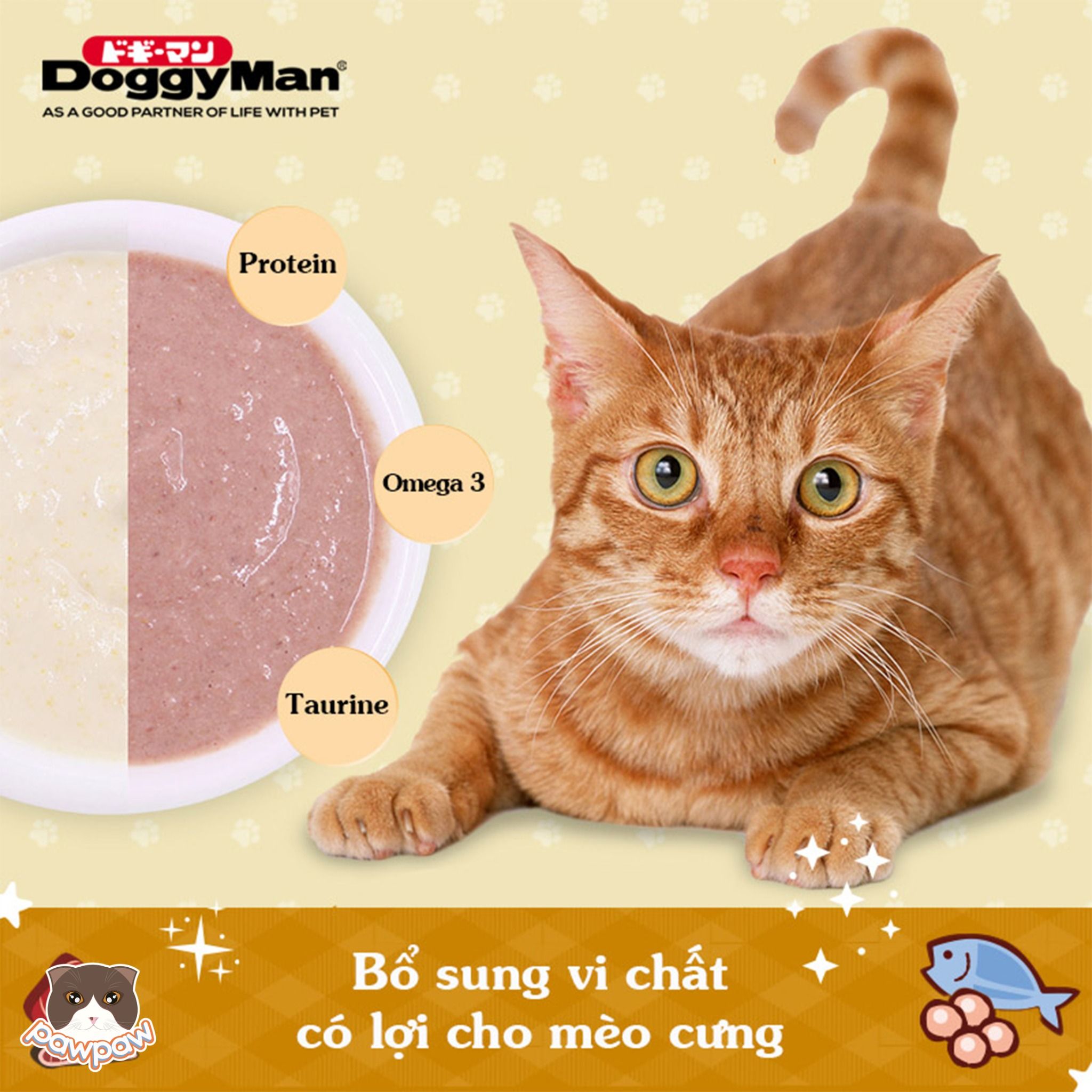  Súp thưởng Cattyman 60g cho mèo 