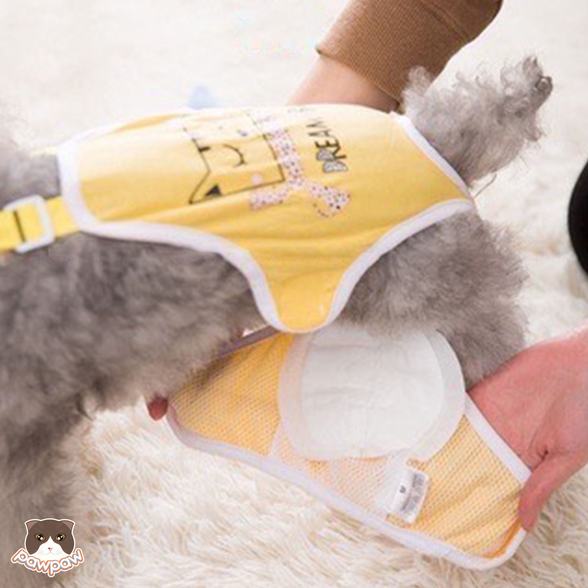 Tả dán sinh lý Hipidog cho chó cái