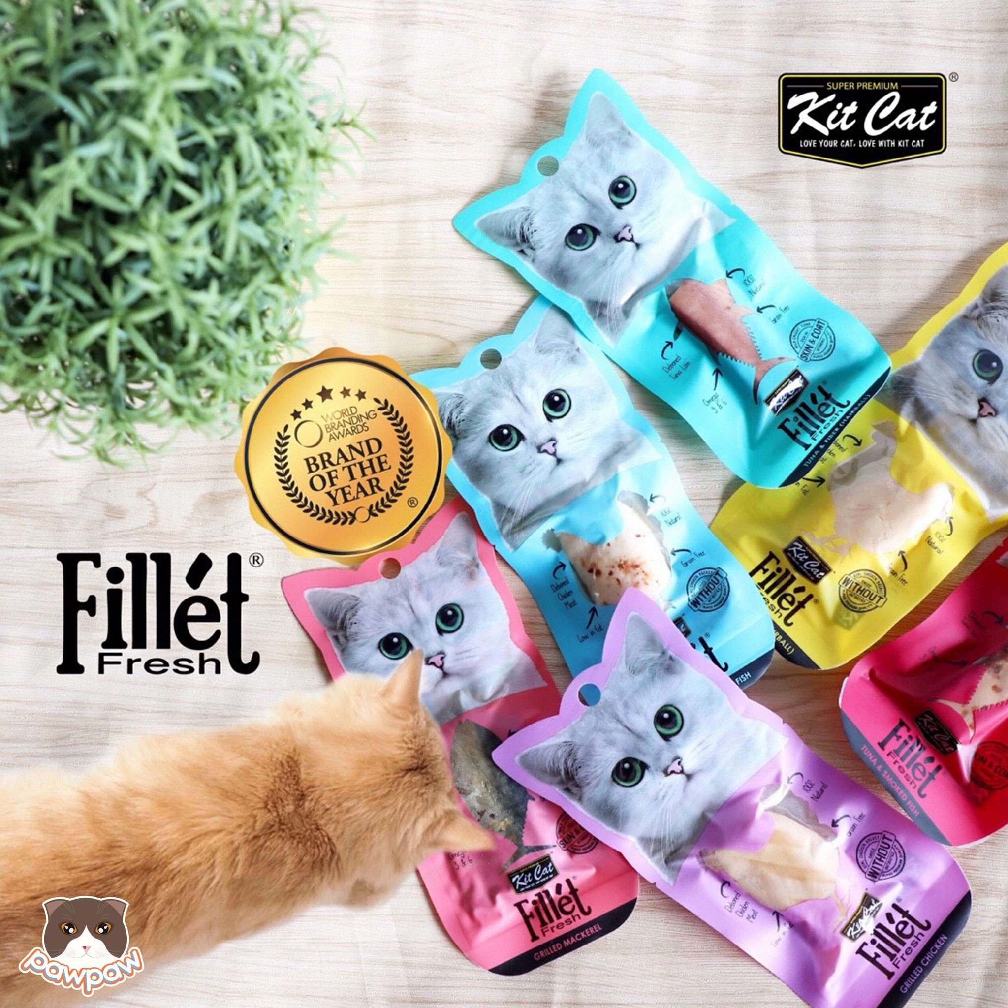  Thịt tươi Kitcat Fresh Fillet cho mèo 