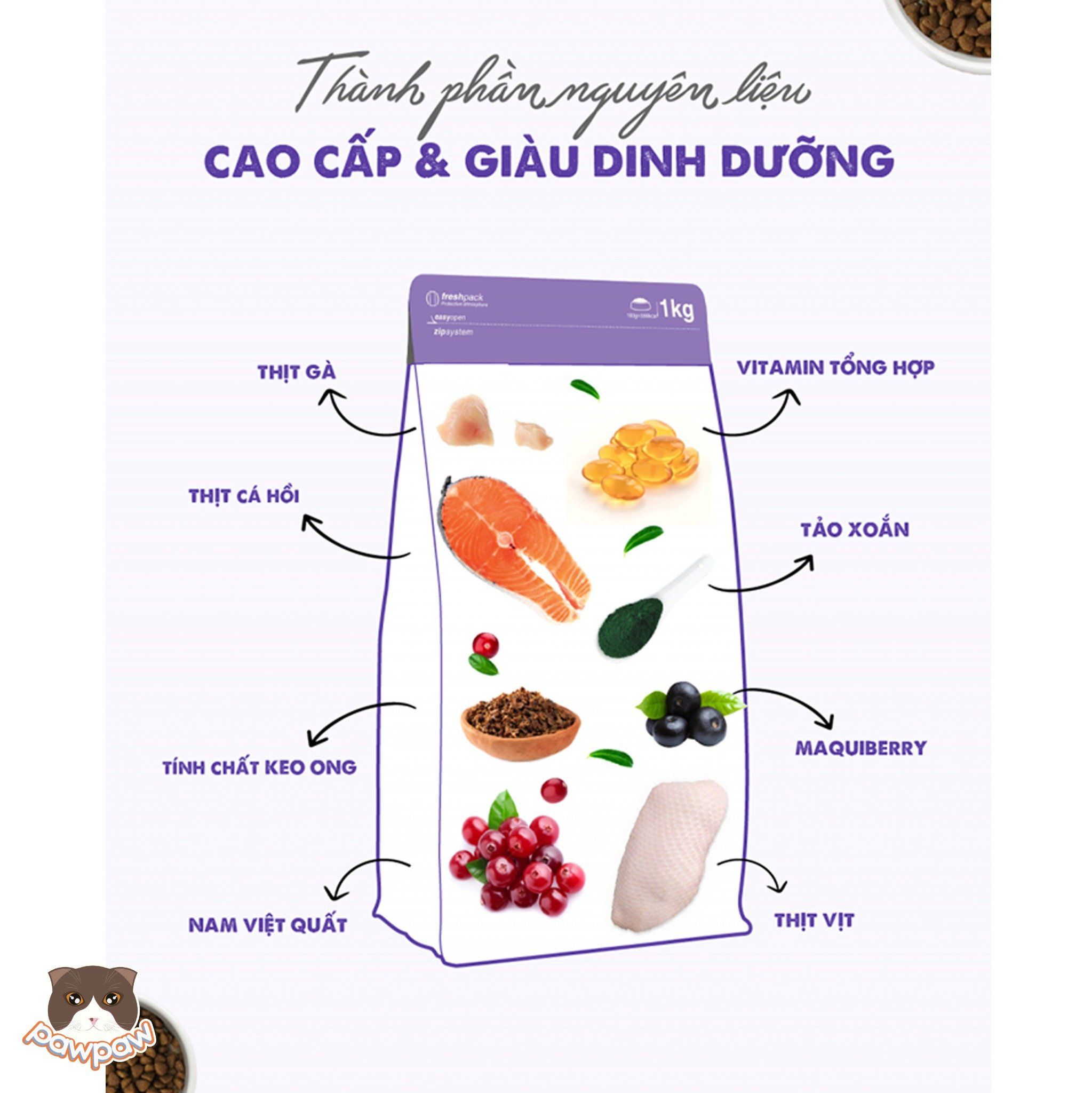 Hạt Today's Dinner Kitten 1kg cho mèo con