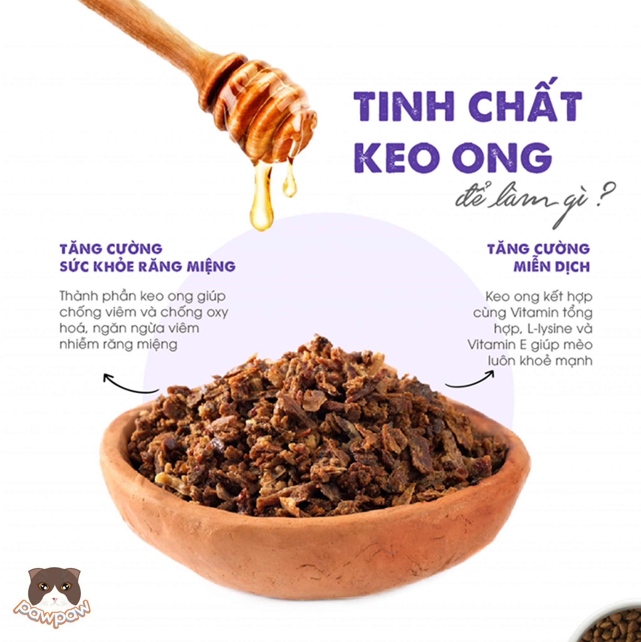 Hạt Today's Dinner Kitten 1kg cho mèo con