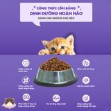 Hạt Today's Dinner Kitten 1kg cho mèo con 