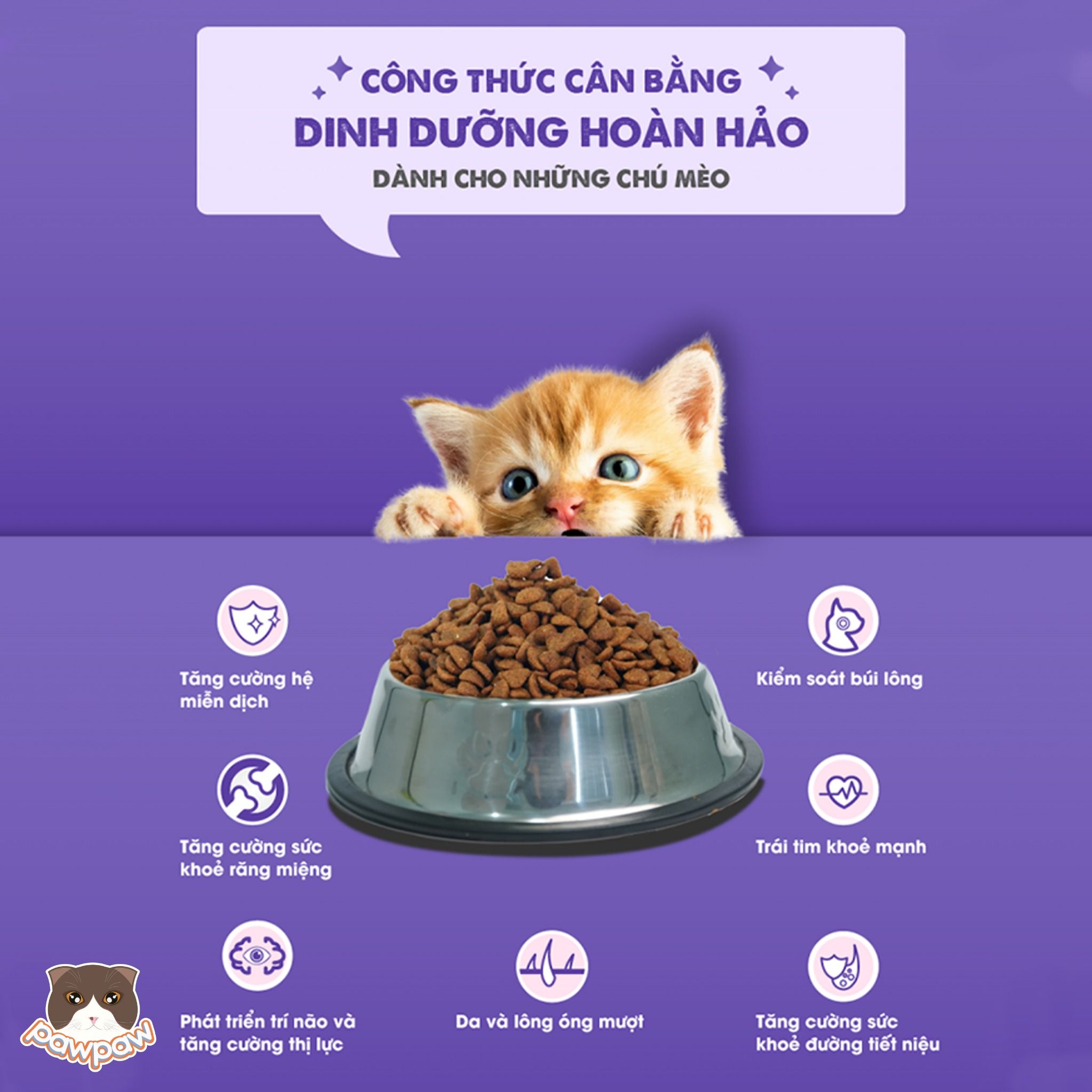 Hạt Today's Dinner Kitten 1kg cho mèo con