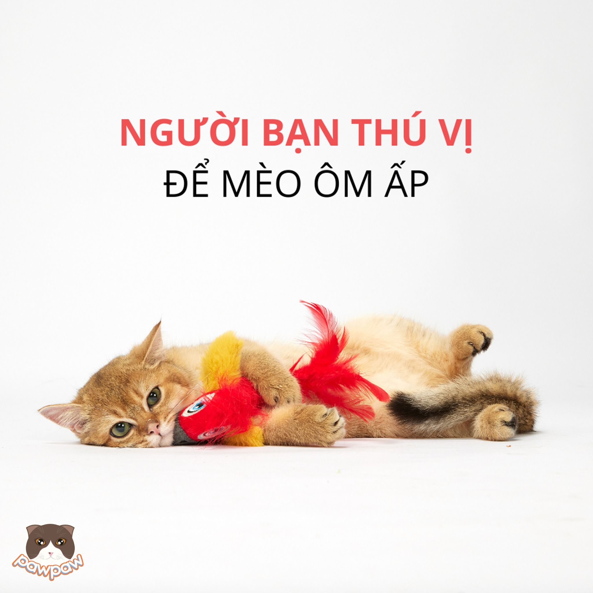 Đồ chơi vẹt phát ra tiếng có catnip Fofos cho mèo