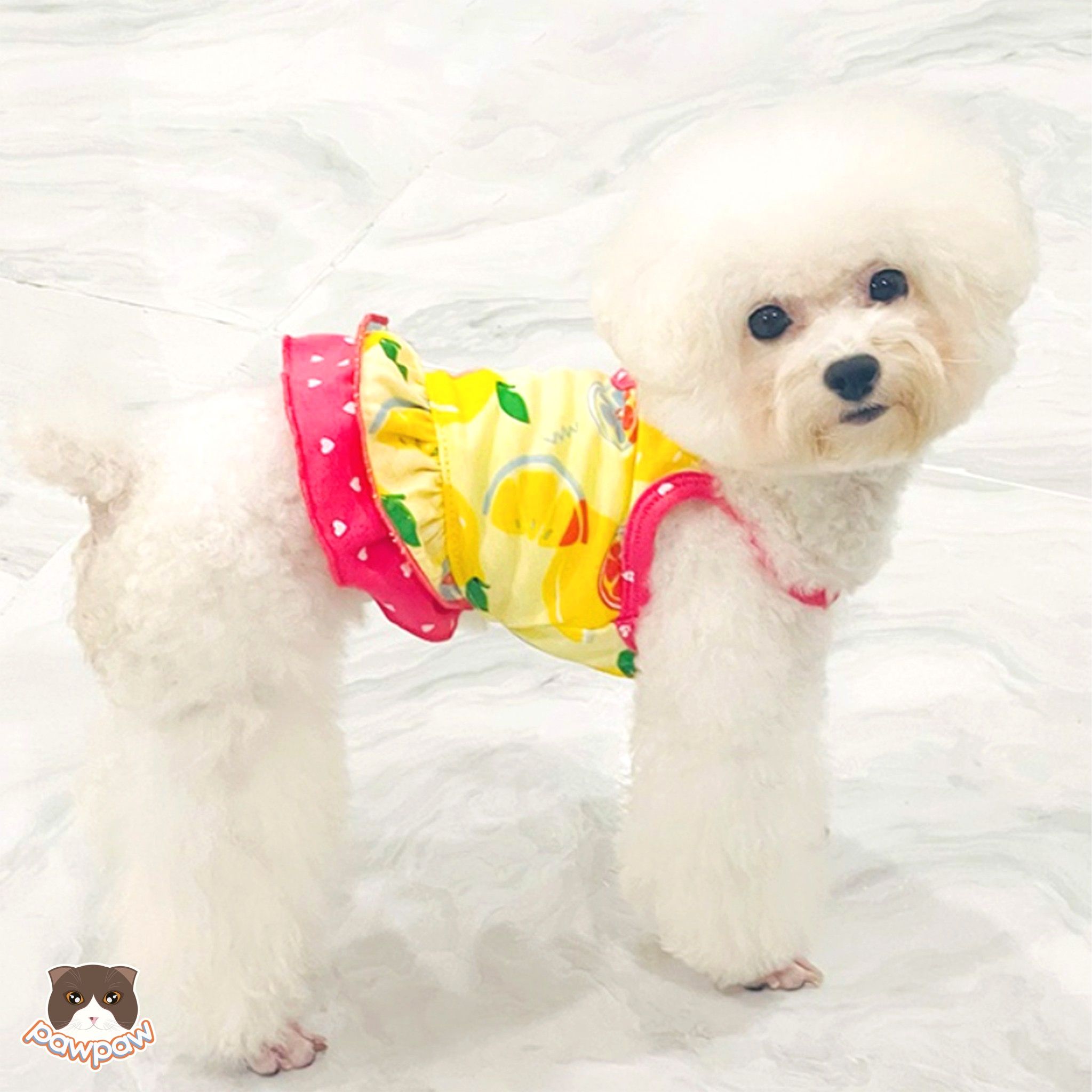 Váy 2 dây cổ giọt nước Lemon cho chó mèo