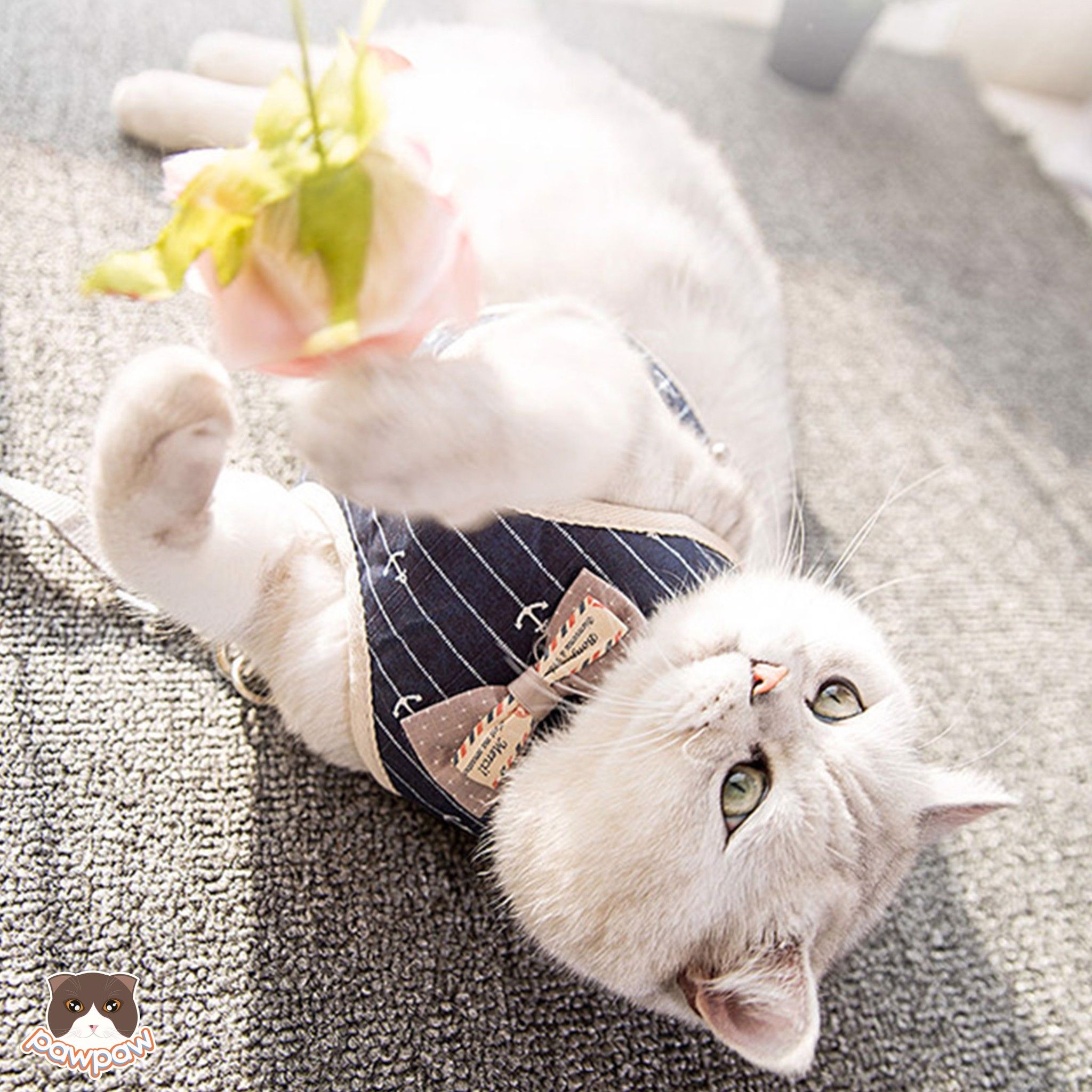 Yếm nơ kèm dây dắt cho chó mèo