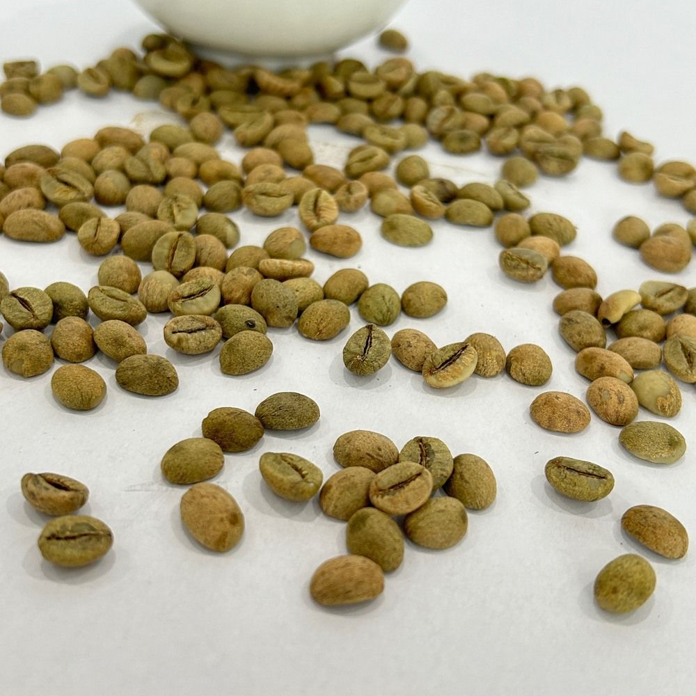  Coffee green bean Vietnam Robusta 