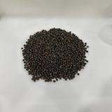  Black Pepper 