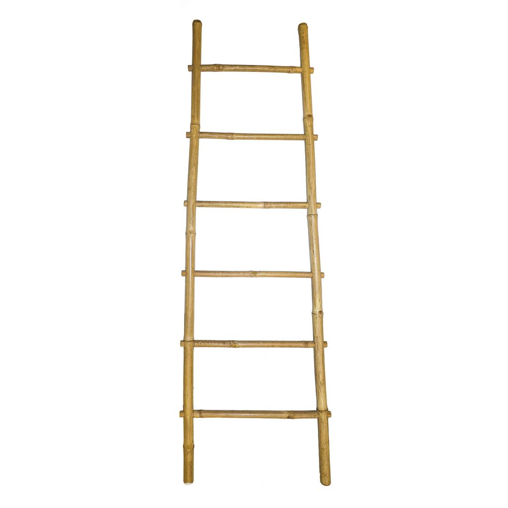  Shape A Bamboo Ladder 