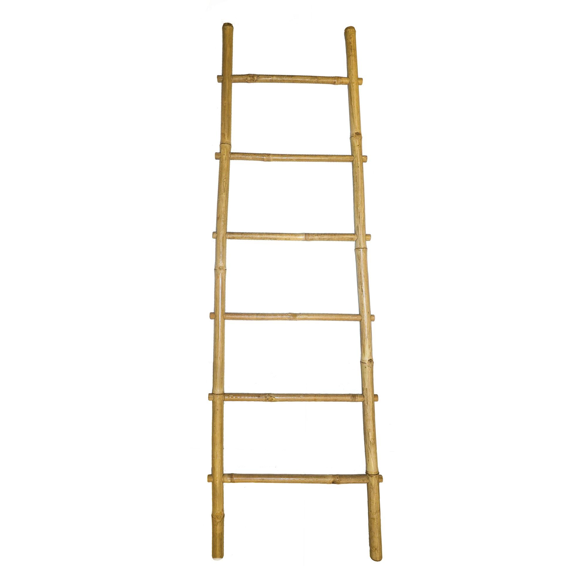  Shape A Bamboo Ladder 