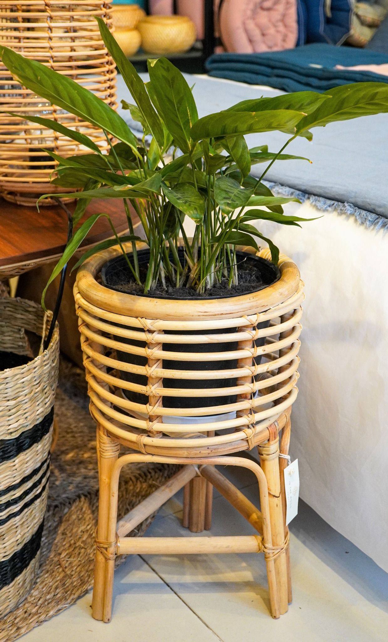 Plant rattan pot