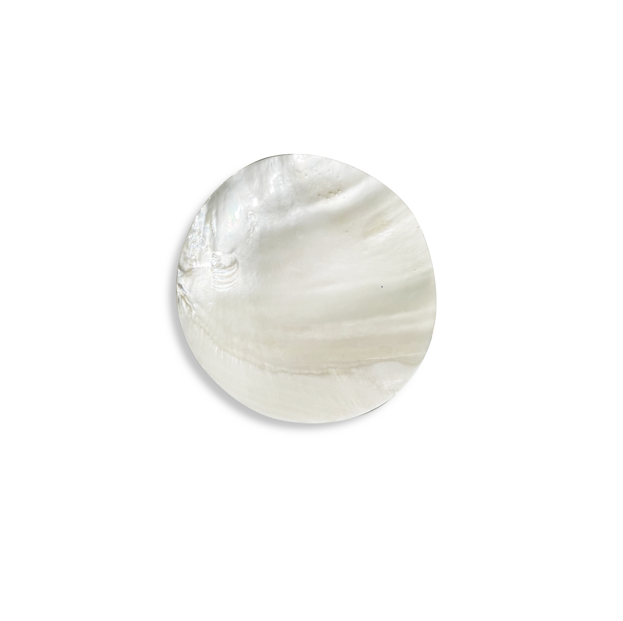 Shell Plate