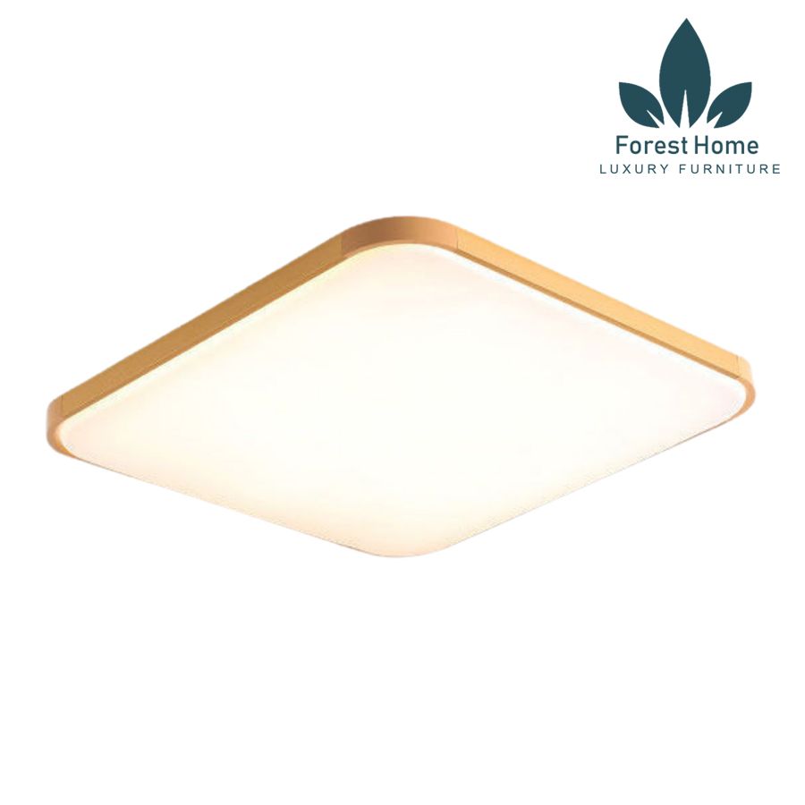 LM038 - ĐÈN LED MÂM - ĐÈN ỐP TRẦN - LM038