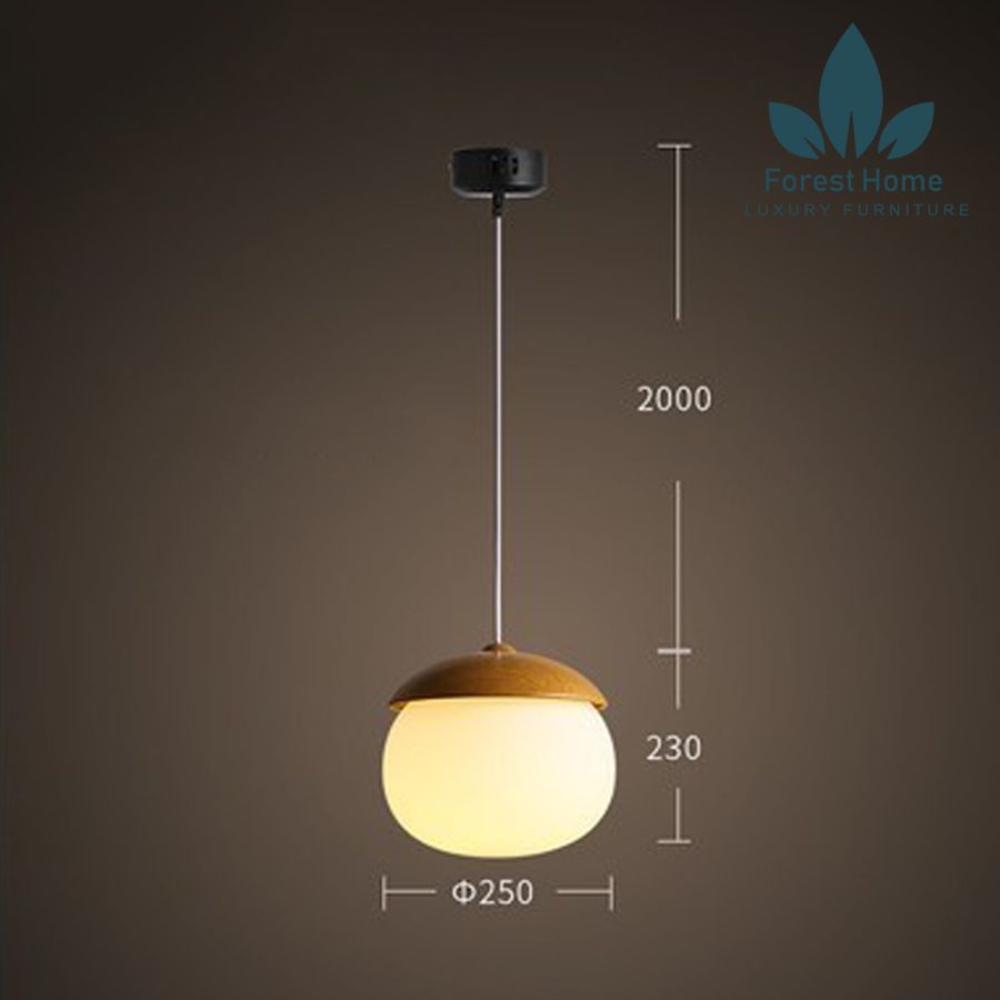 DTH010 - ĐÈN THẢ HẠT DẺ