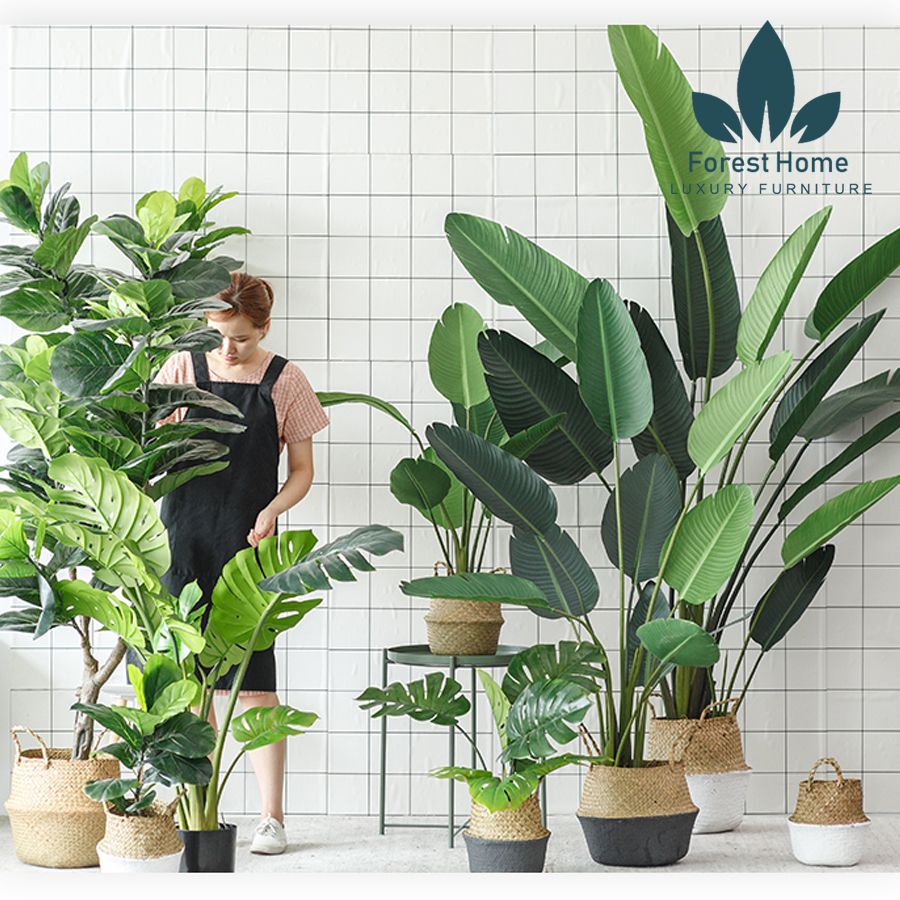CG2 - CÂY CHUỐI DECOR