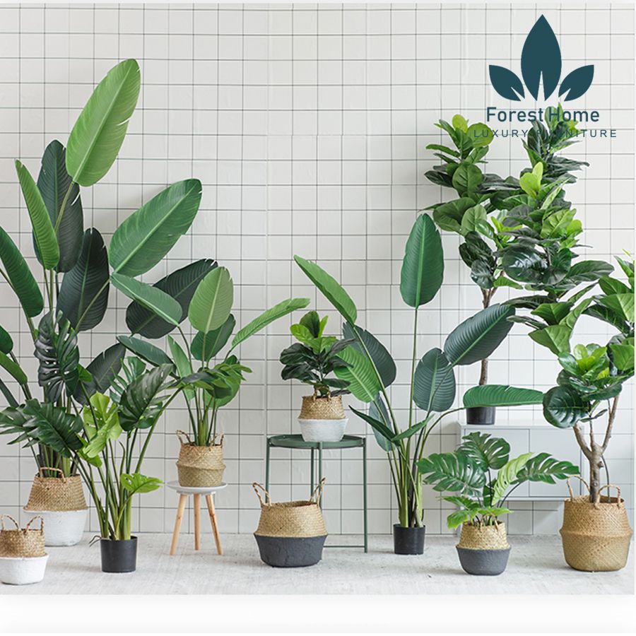 CG2 - CÂY CHUỐI DECOR