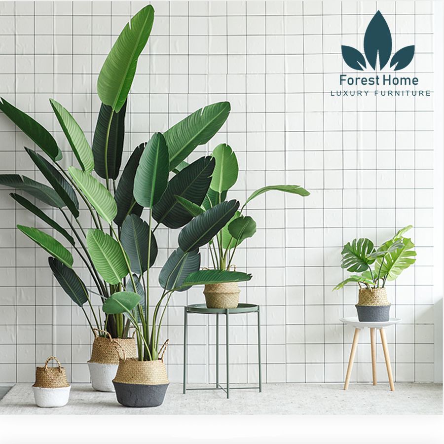 CG2 - CÂY CHUỐI DECOR