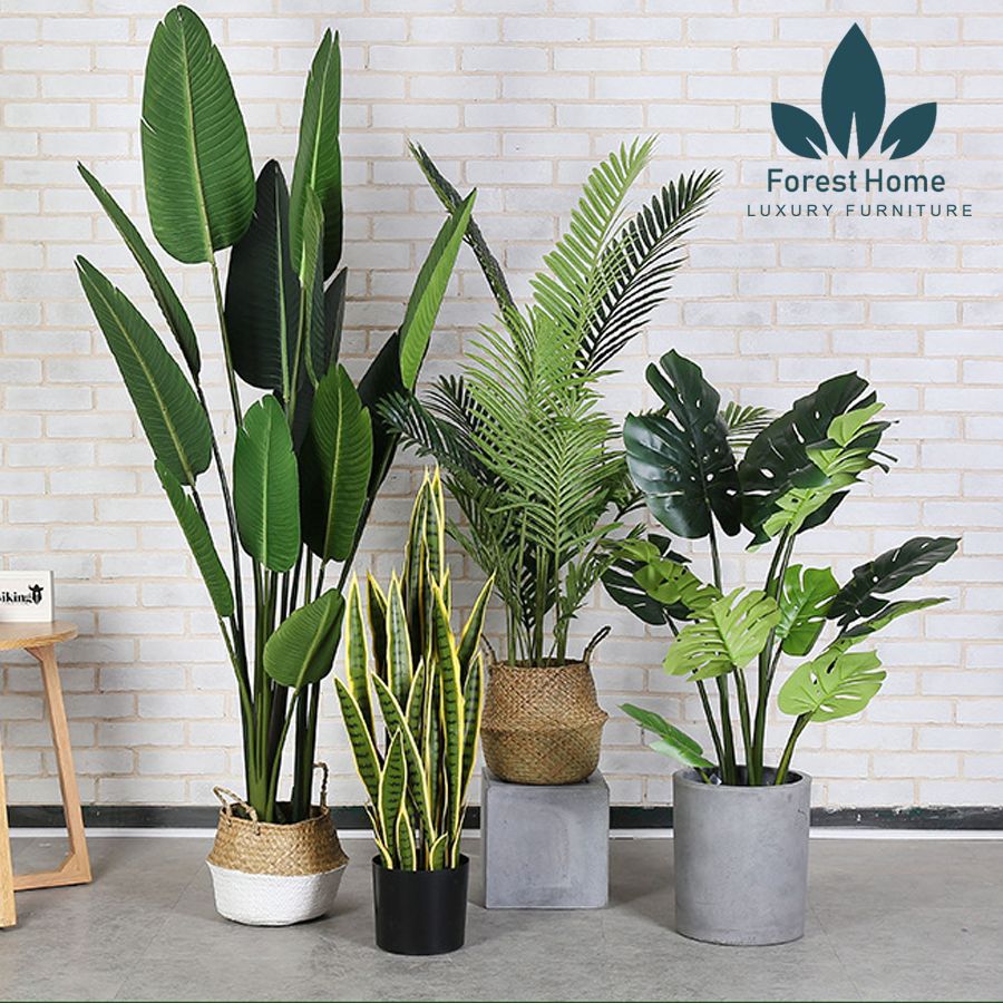 CG2 - CÂY CHUỐI DECOR