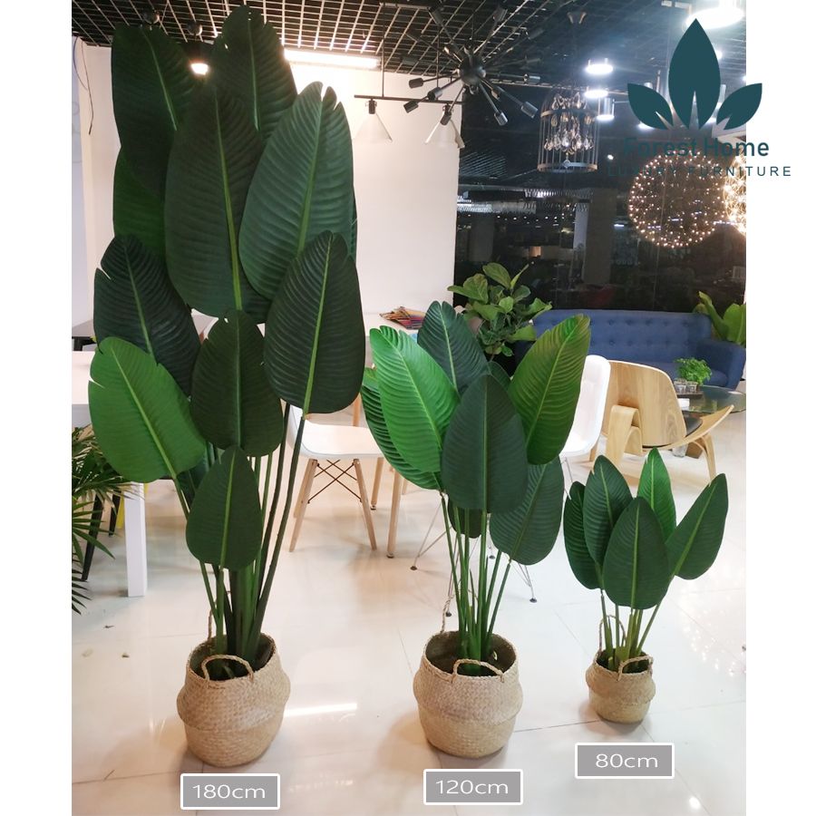 CG2 - CÂY CHUỐI DECOR