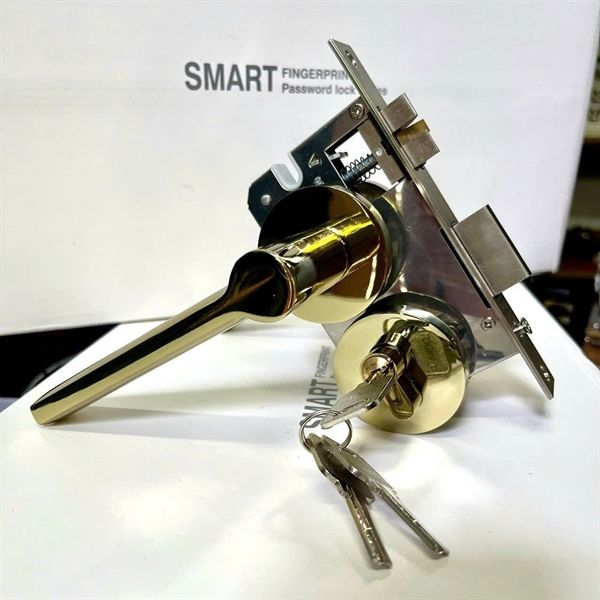 Khóa Phân Thể hợp kim màu vàng mã 8826 PVD